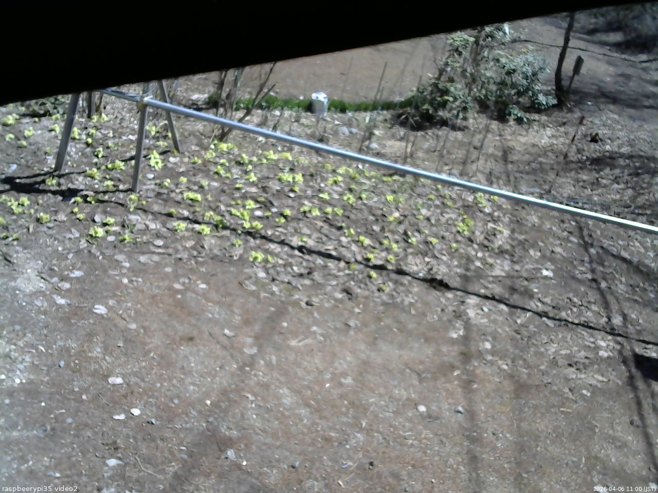 長野県菅平高原 ゆたか山荘 駐車場 2026/04/06 11:00
