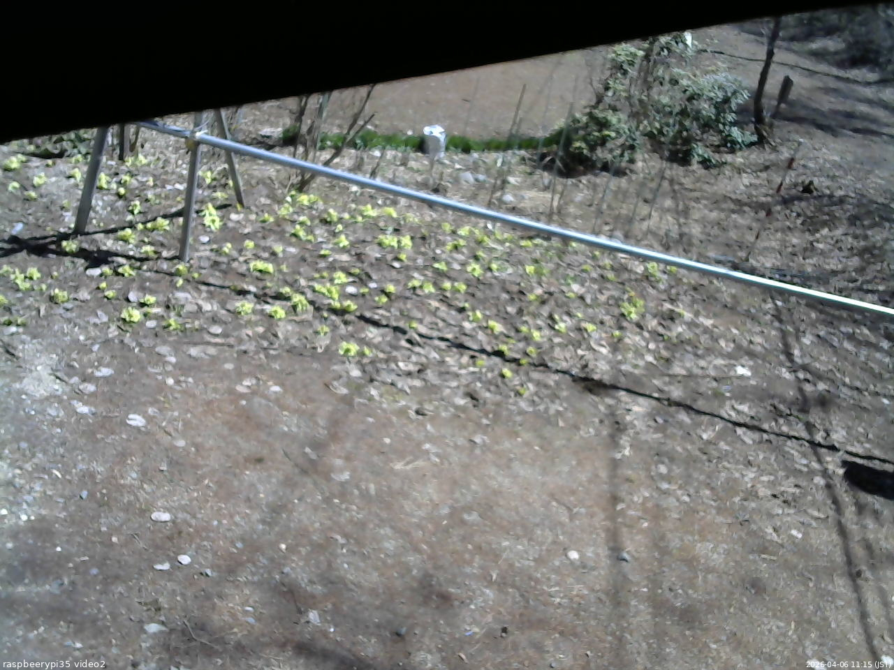 長野県菅平高原 ゆたか山荘 駐車場 2026/04/06 11:15