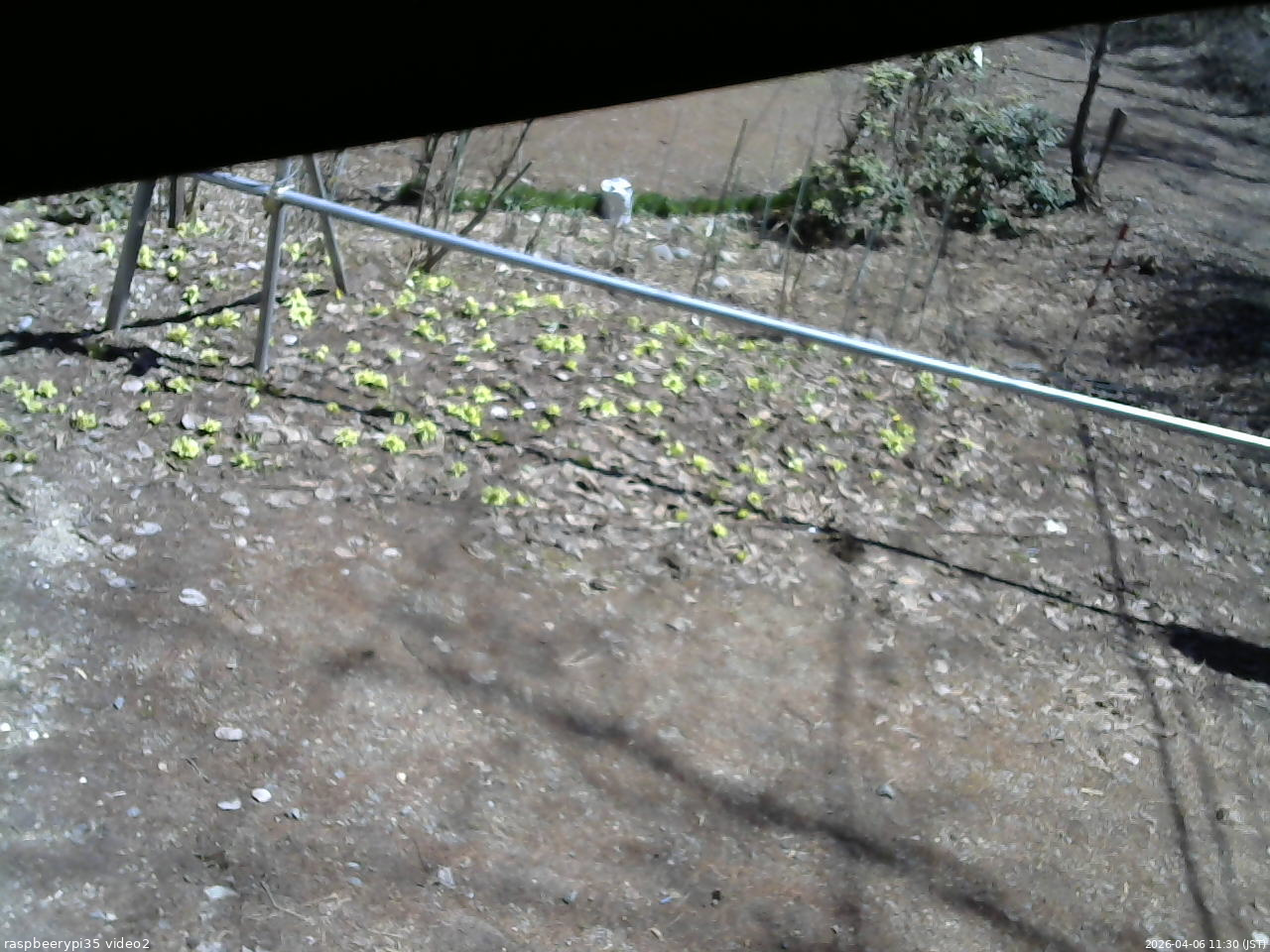 長野県菅平高原 ゆたか山荘 駐車場 2026/04/06 11:30