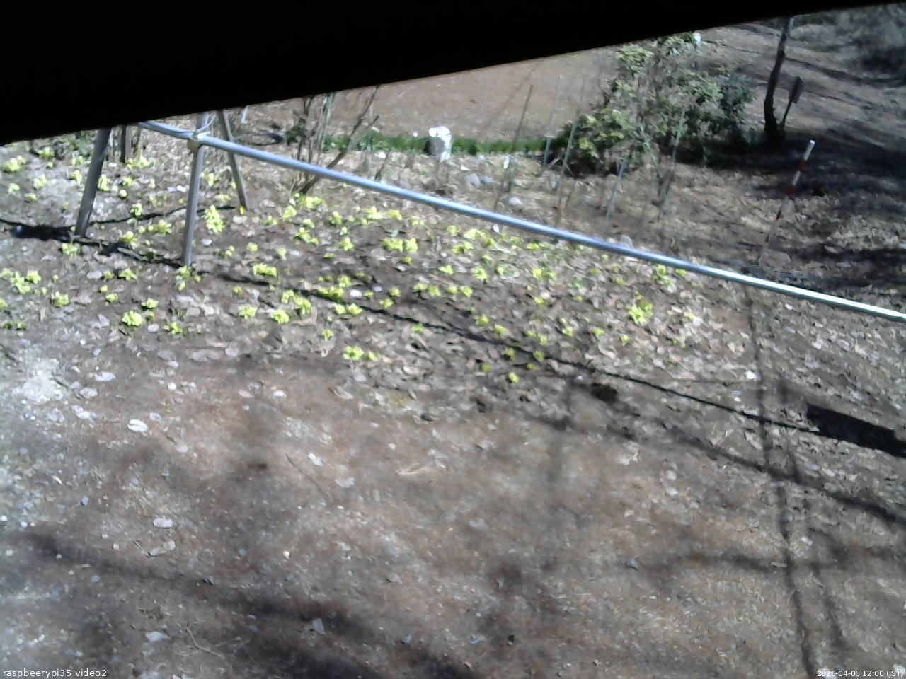 長野県菅平高原 ゆたか山荘 駐車場 2026/04/06 12:00