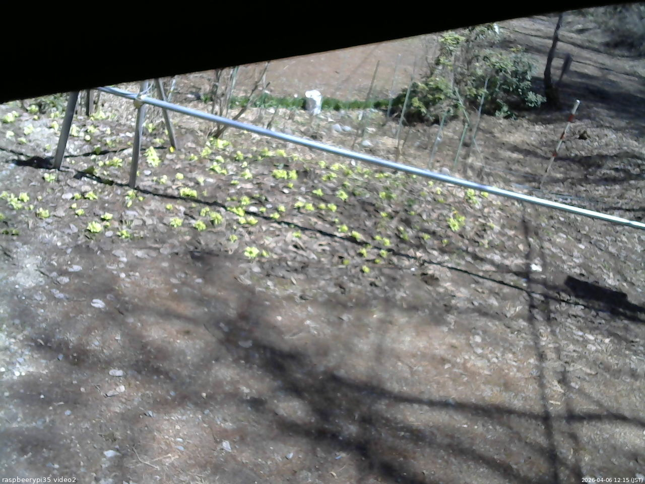 長野県菅平高原 ゆたか山荘 駐車場 2026/04/06 12:15