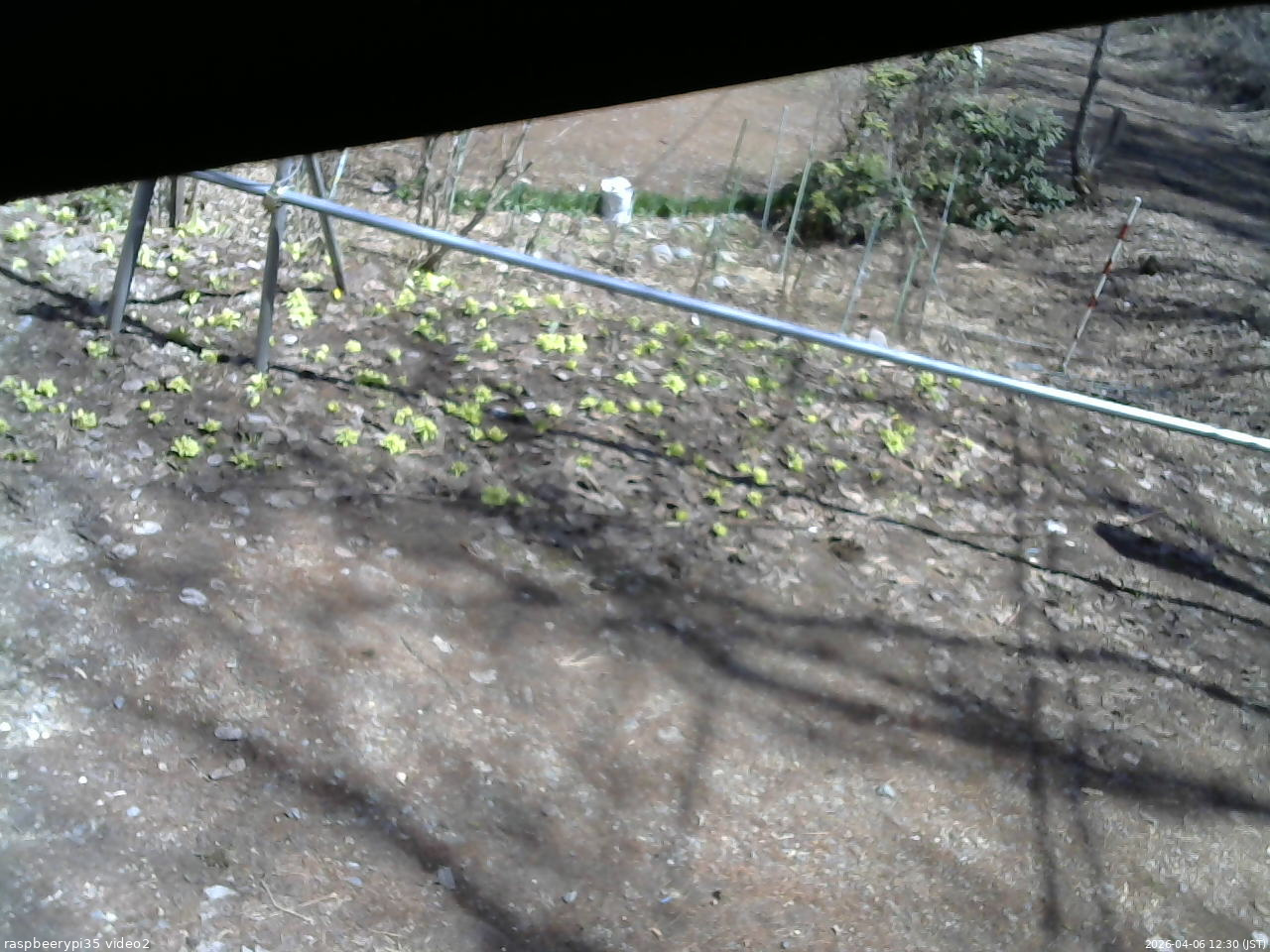 長野県菅平高原 ゆたか山荘 駐車場 2026/04/06 12:30