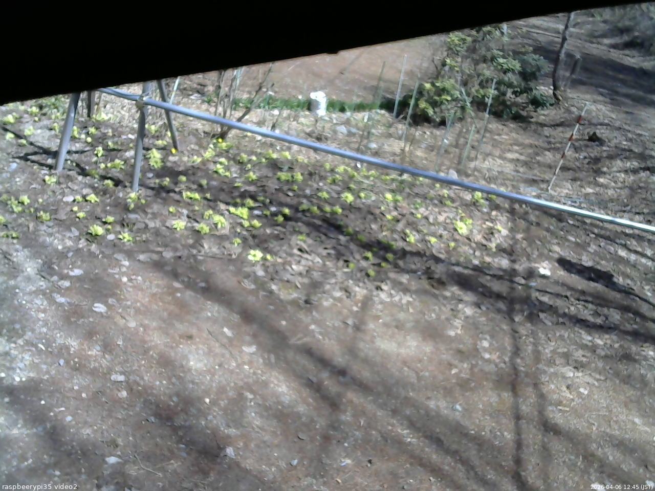 長野県菅平高原 ゆたか山荘 駐車場 2026/04/06 12:45