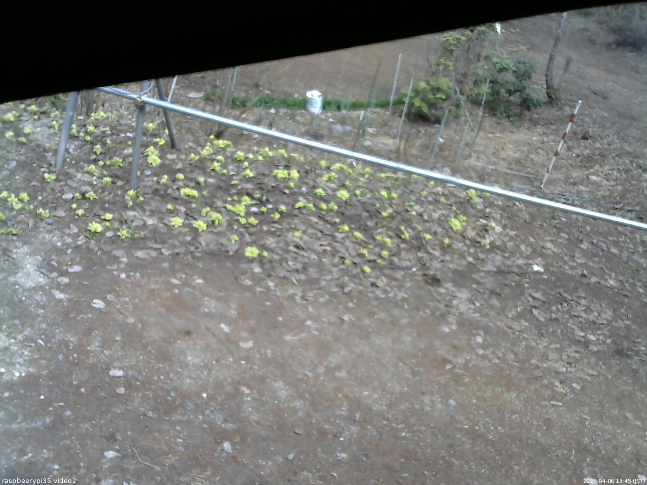 長野県菅平高原 ゆたか山荘 駐車場 2026/04/06 13:45