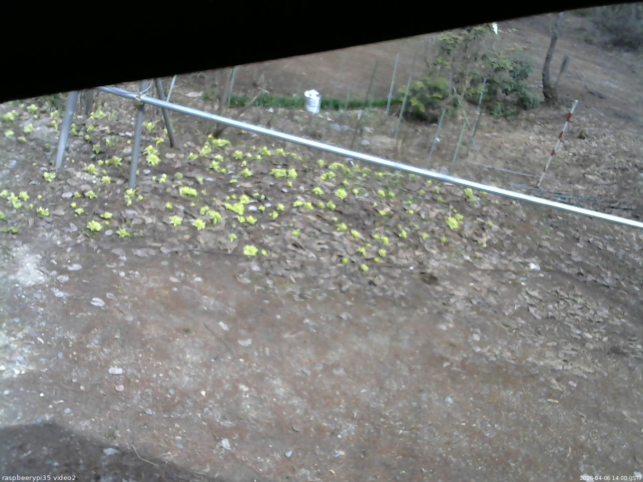 長野県菅平高原 ゆたか山荘 駐車場 2026/04/06 14:00
