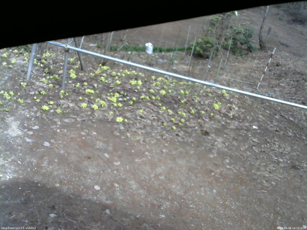 長野県菅平高原 ゆたか山荘 駐車場 2026/04/06 14:15