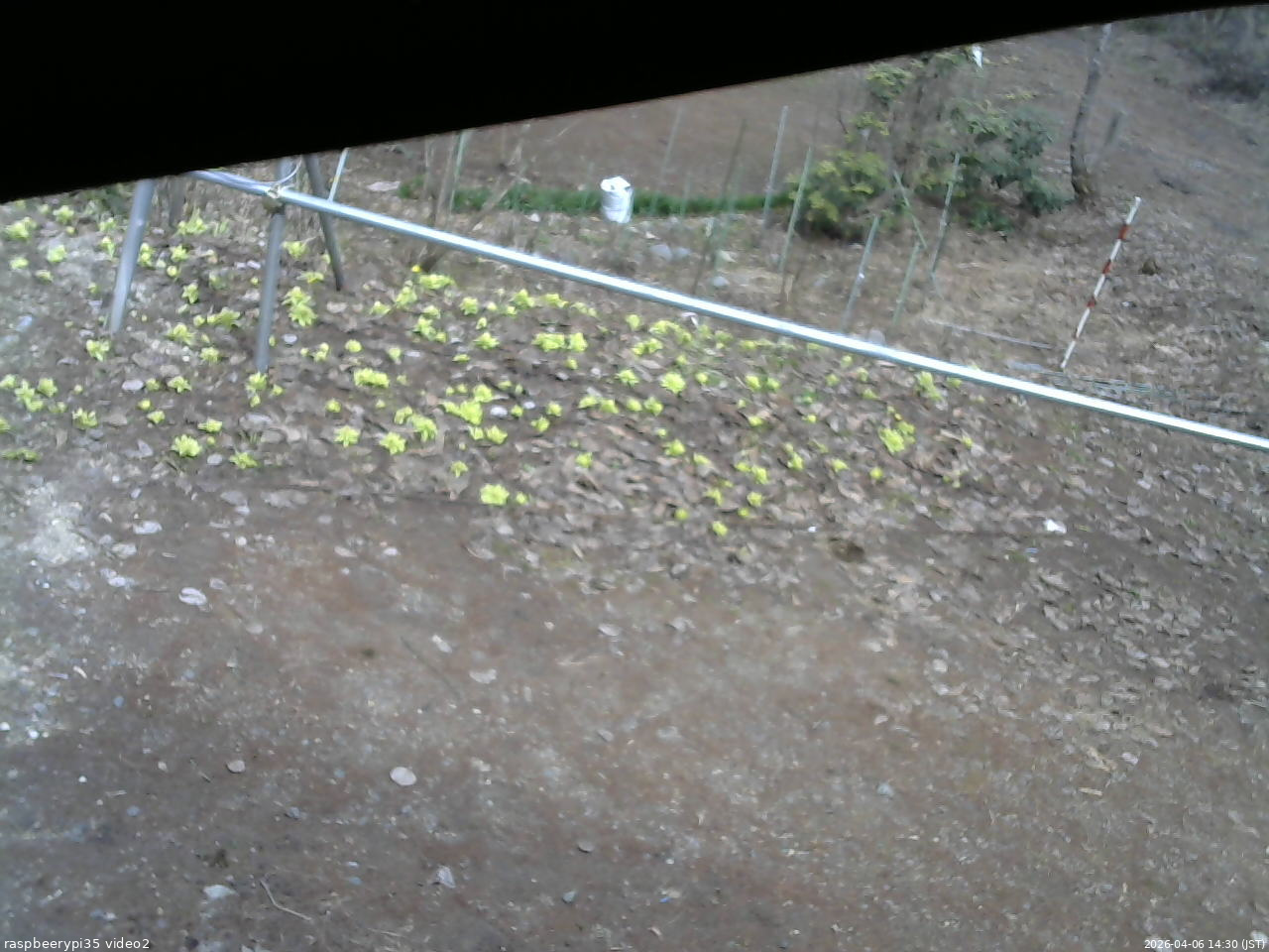 長野県菅平高原 ゆたか山荘 駐車場 2026/04/06 14:30