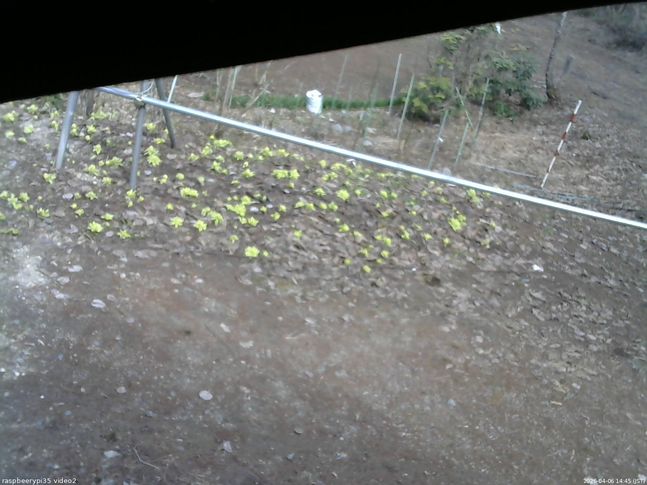 長野県菅平高原 ゆたか山荘 駐車場 2026/04/06 14:45