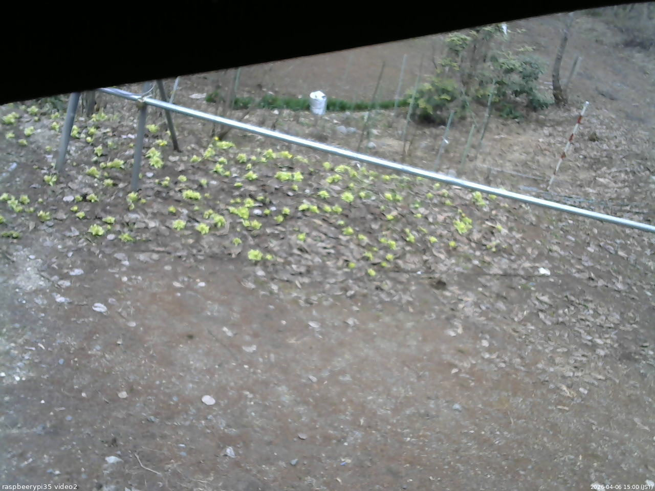 長野県菅平高原 ゆたか山荘 駐車場 2026/04/06 15:00