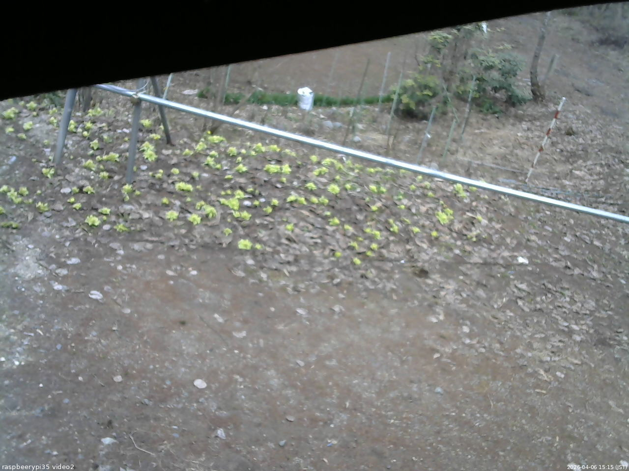 長野県菅平高原 ゆたか山荘 駐車場 2026/04/06 15:15
