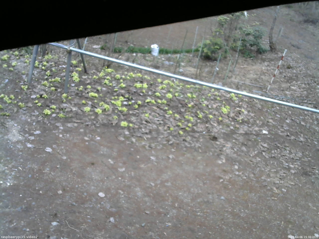 長野県菅平高原 ゆたか山荘 駐車場 2026/04/06 15:30
