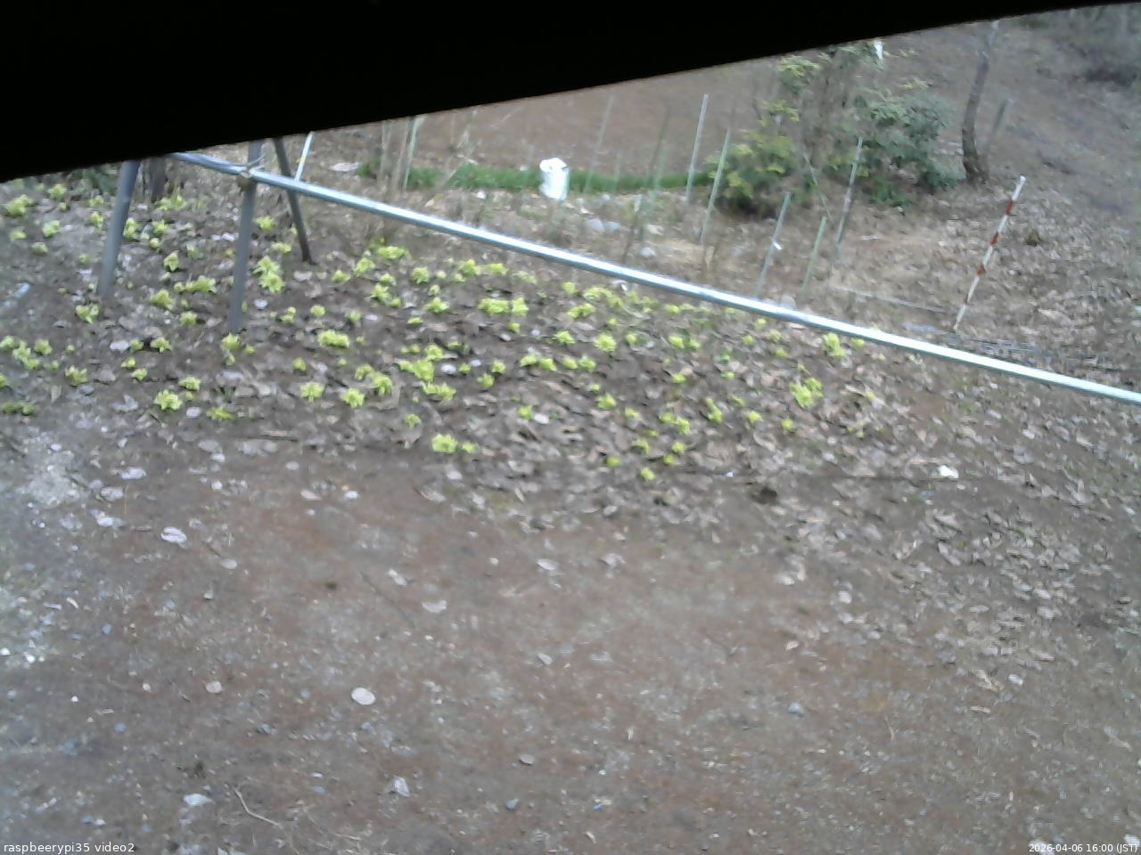 長野県菅平高原 ゆたか山荘 駐車場 2026/04/06 16:00