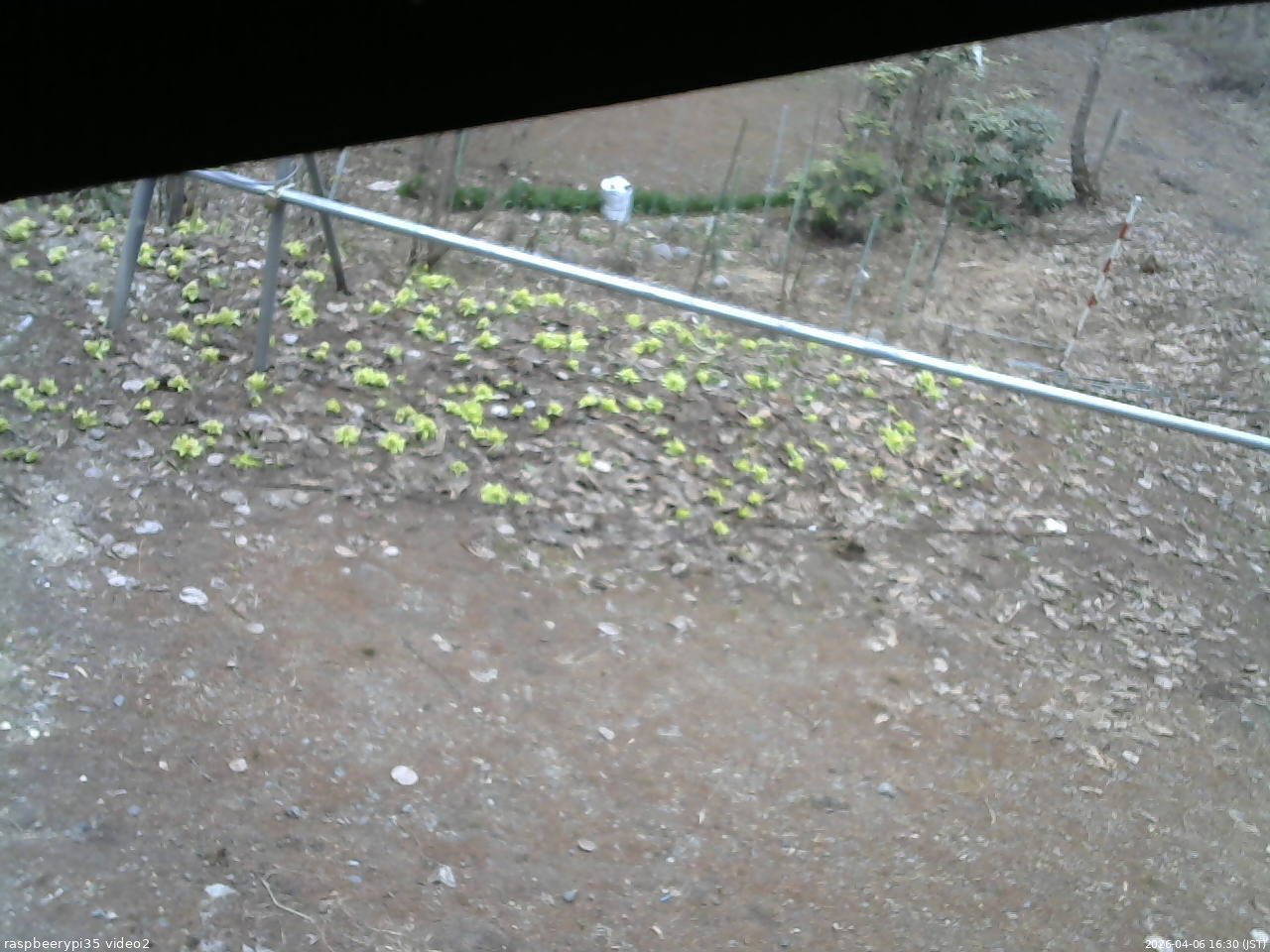 長野県菅平高原 ゆたか山荘 駐車場 2026/04/06 16:30