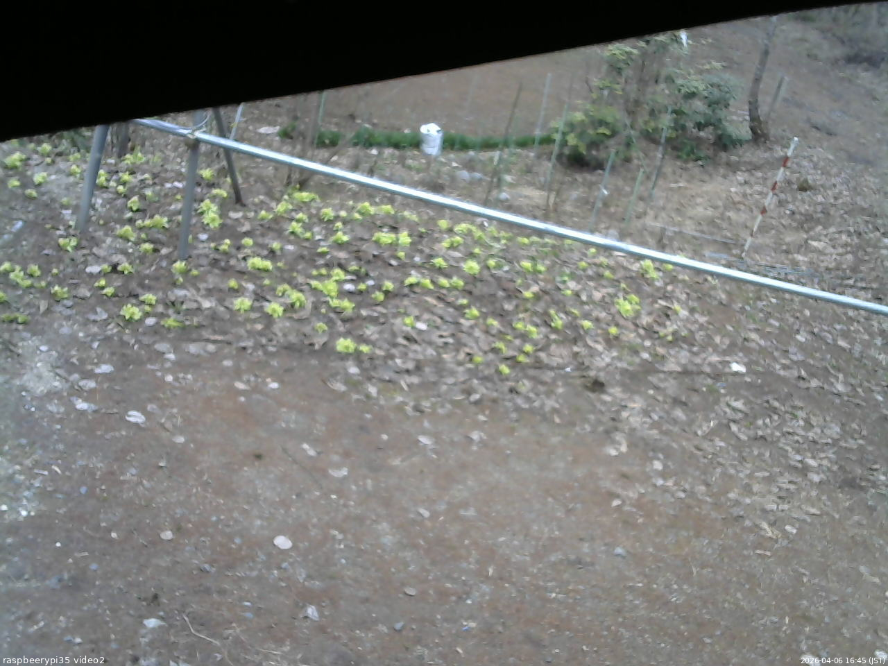 長野県菅平高原 ゆたか山荘 駐車場 2026/04/06 16:45