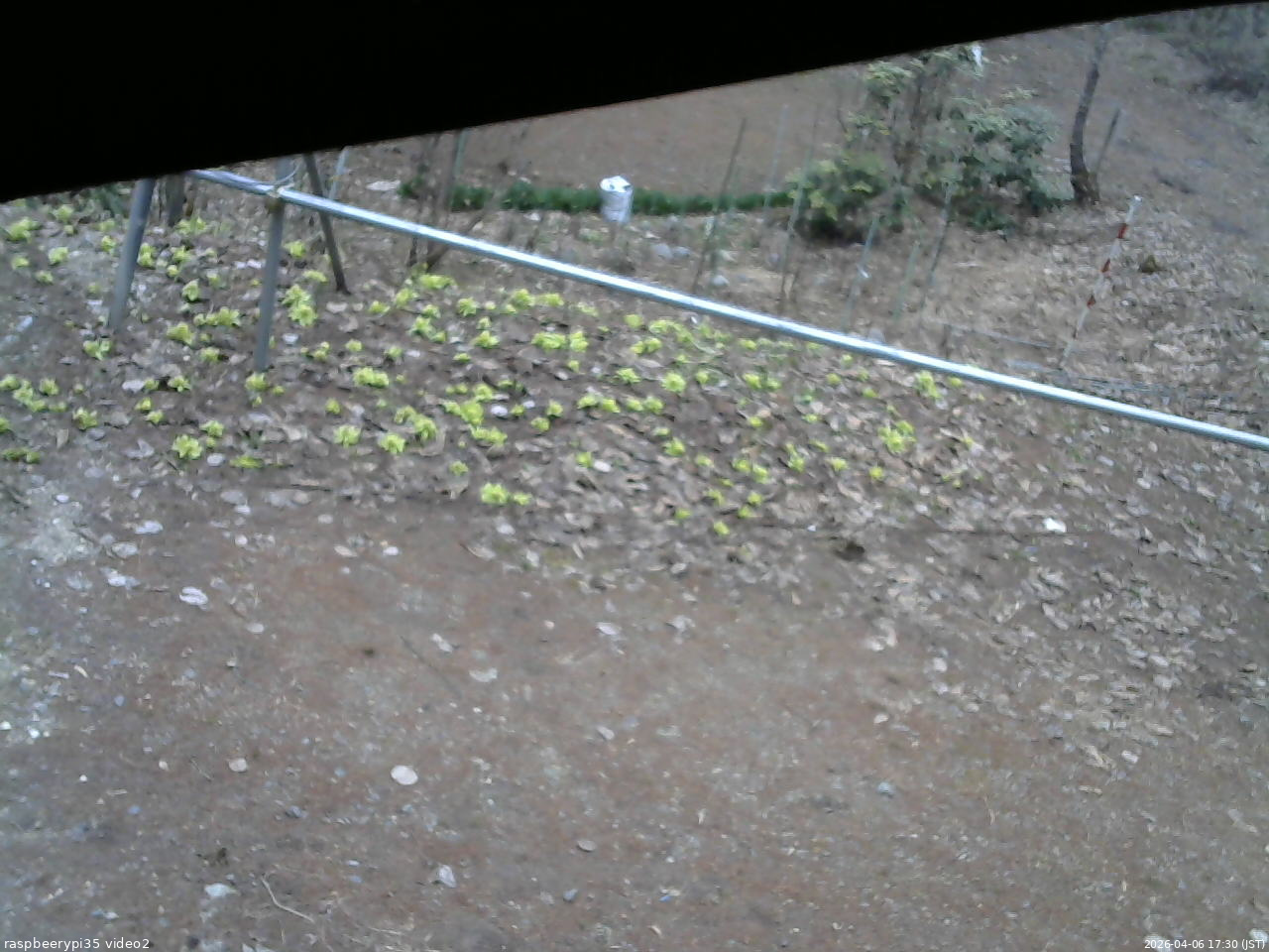 長野県菅平高原 ゆたか山荘 駐車場 2026/04/06 17:30