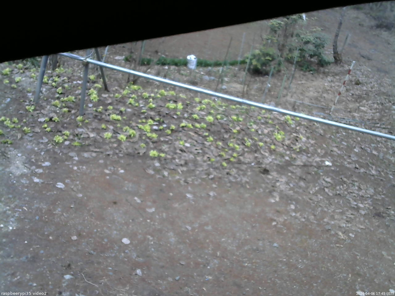 長野県菅平高原 ゆたか山荘 駐車場 2026/04/06 17:45