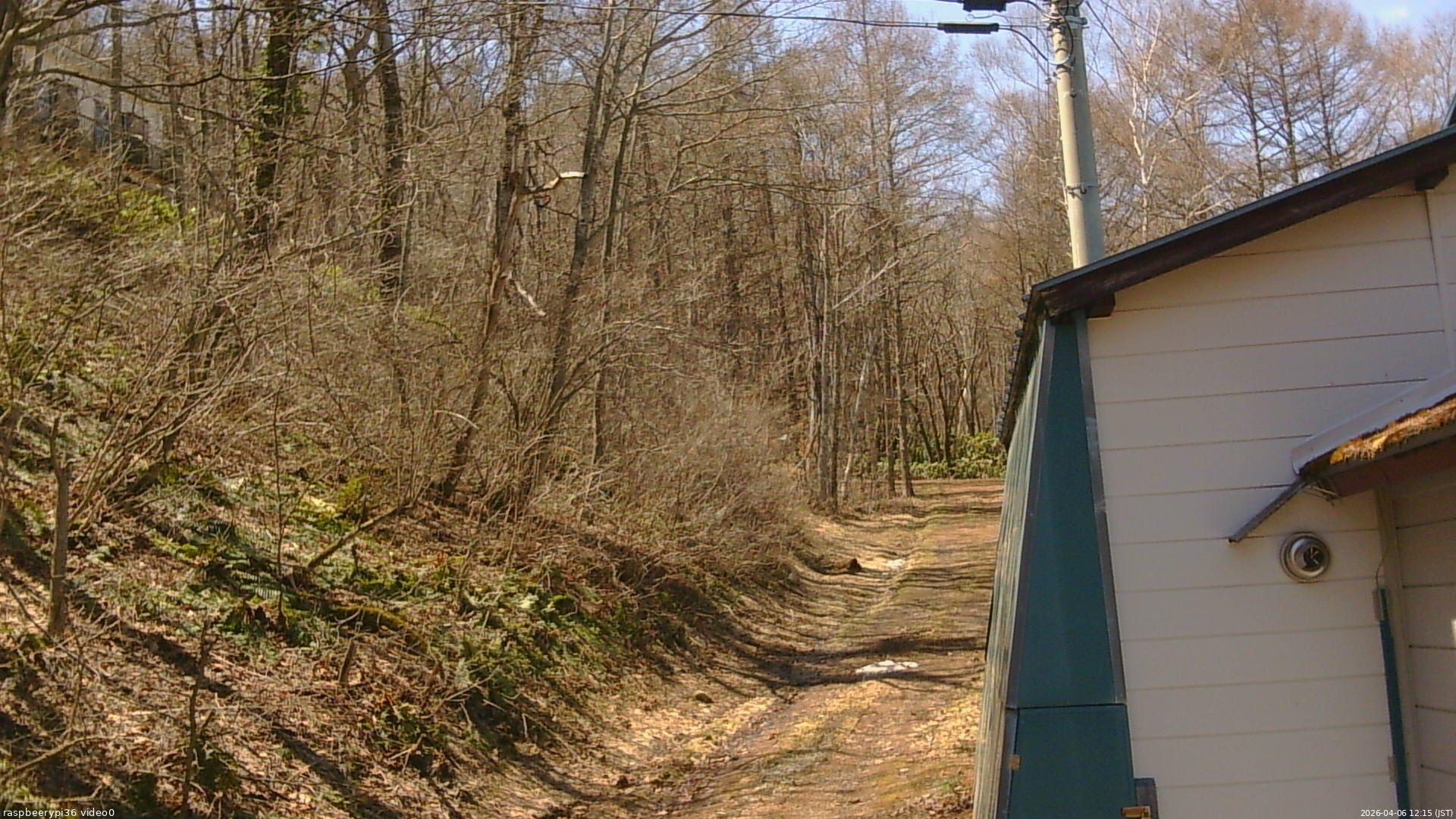 長野県菅平高原 ゆたか山荘 ゆたか山荘 2026/04/06 12:15
