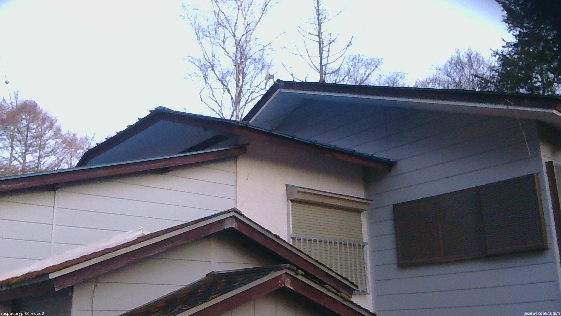 長野県菅平高原 ゆたか山荘 駐車場奥 2026/04/06 05:15