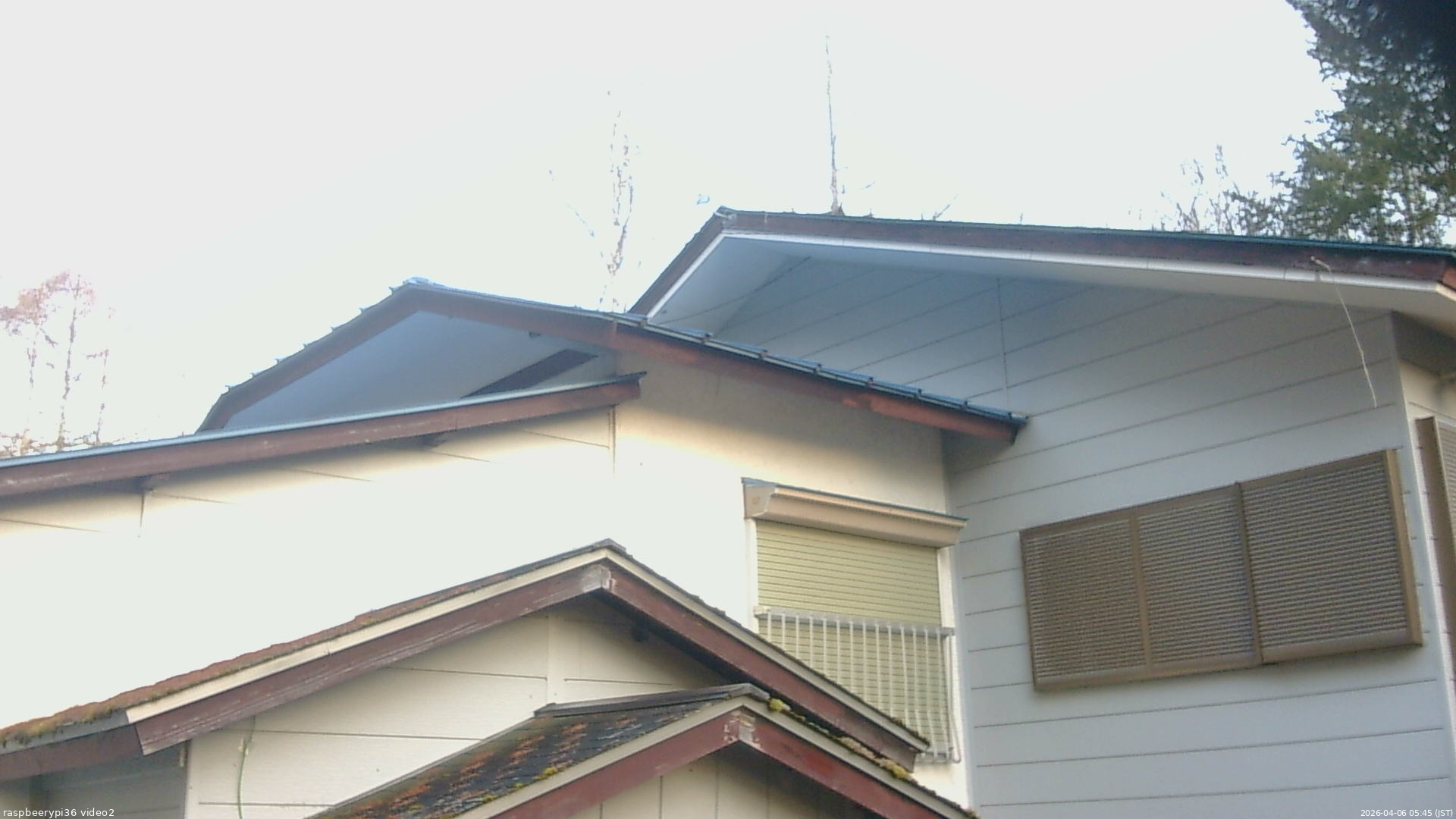 長野県菅平高原 ゆたか山荘 駐車場奥 2026/04/06 05:45