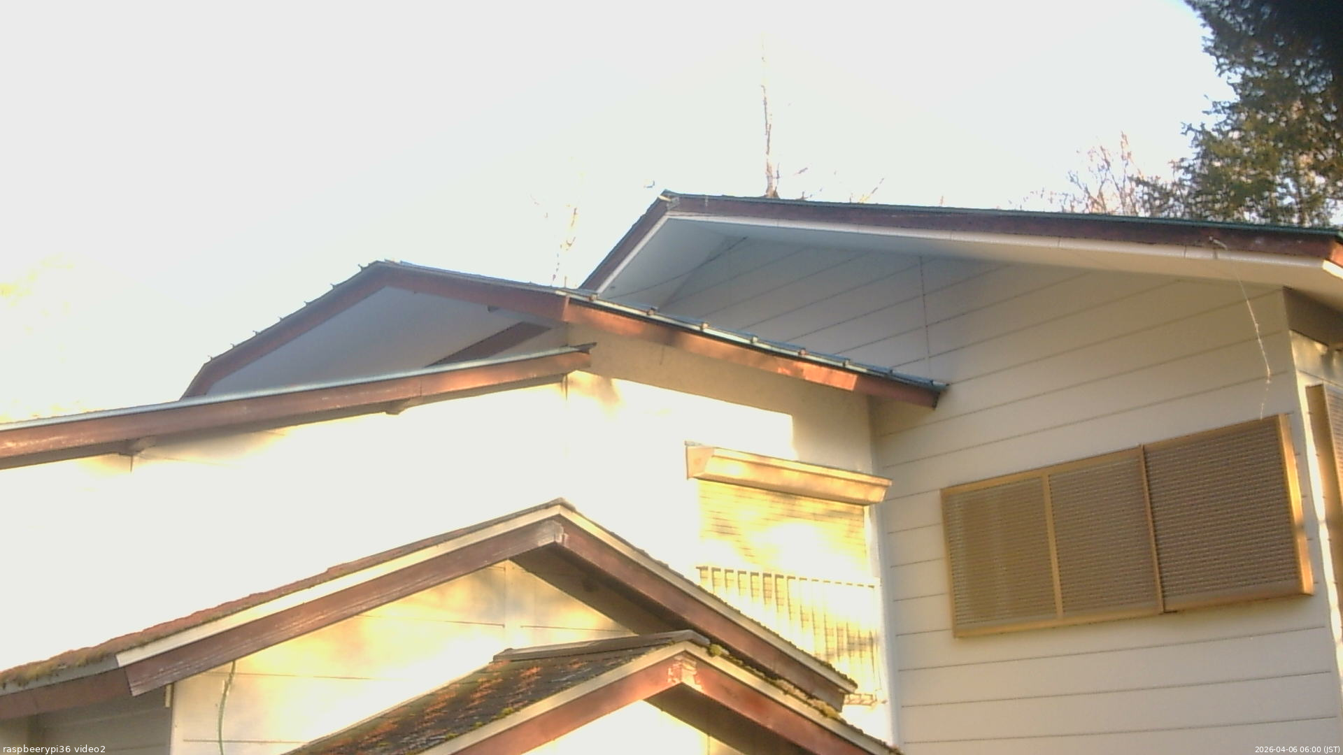 長野県菅平高原 ゆたか山荘 駐車場奥 2026/04/06 06:00