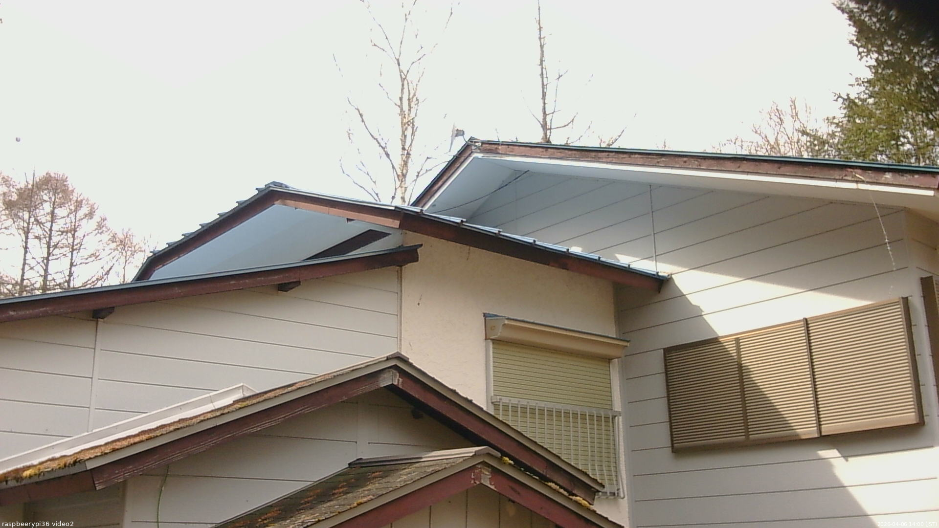 長野県菅平高原 ゆたか山荘 駐車場奥 2026/04/06 14:00