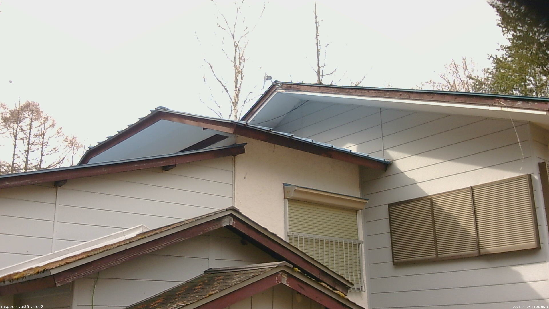 長野県菅平高原 ゆたか山荘 駐車場奥 2026/04/06 14:30