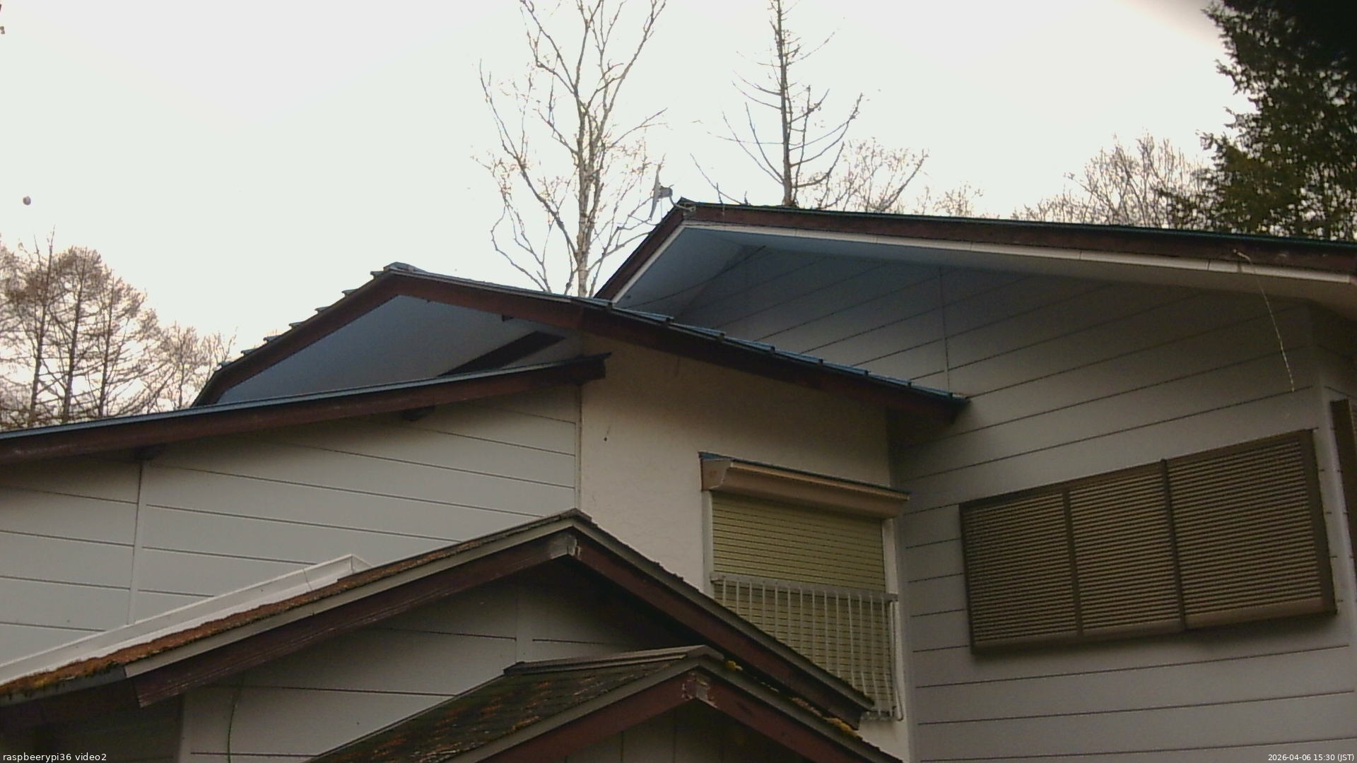 長野県菅平高原 ゆたか山荘 駐車場奥 2026/04/06 15:30