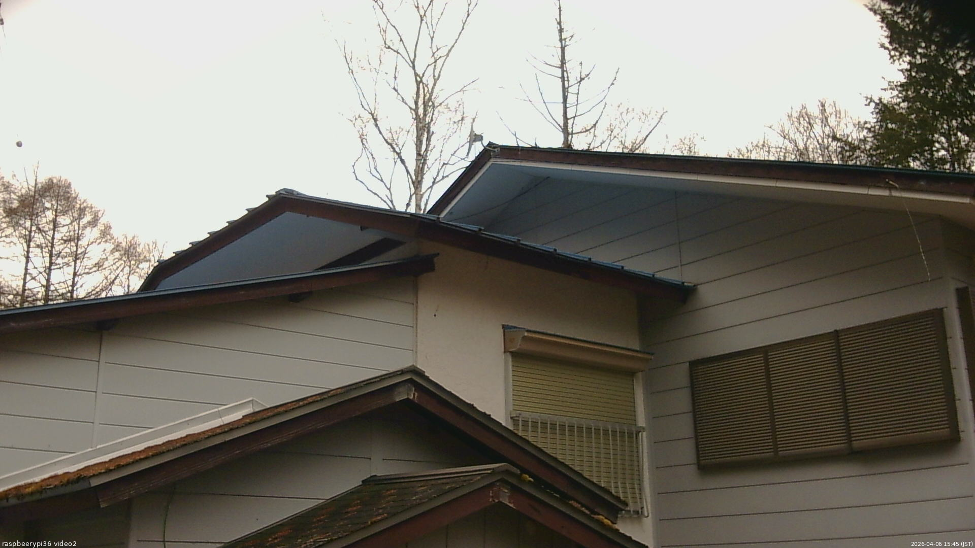 長野県菅平高原 ゆたか山荘 駐車場奥 2026/04/06 15:45