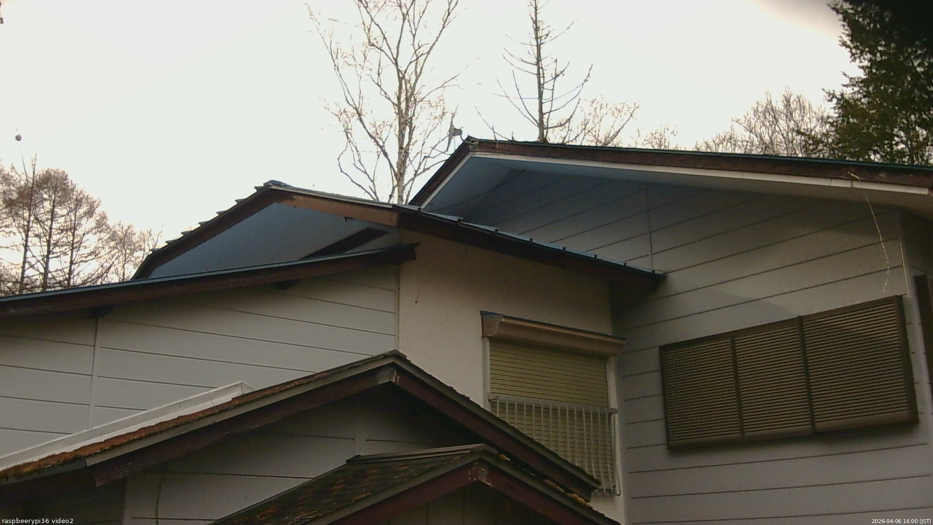 長野県菅平高原 ゆたか山荘 駐車場奥 2026/04/06 16:00