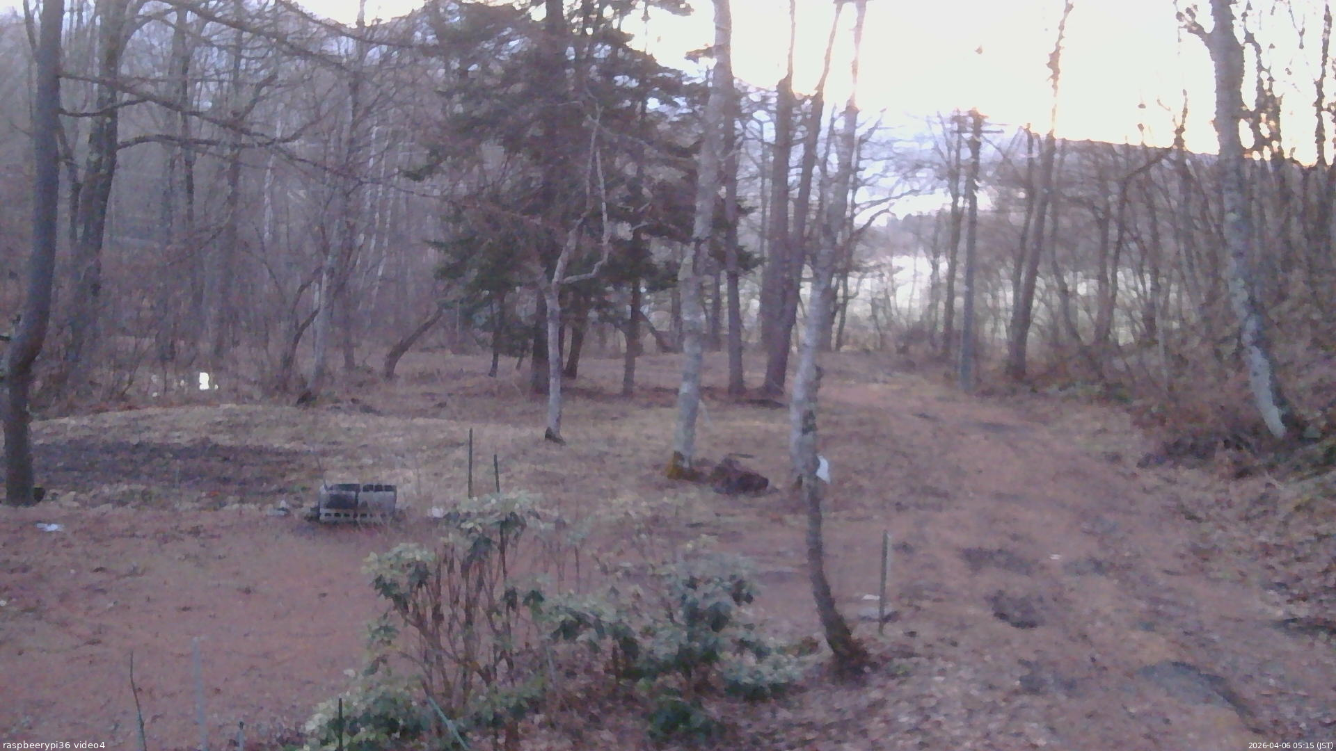 長野県菅平高原 ゆたか山荘 坂上 2026/04/06 05:15