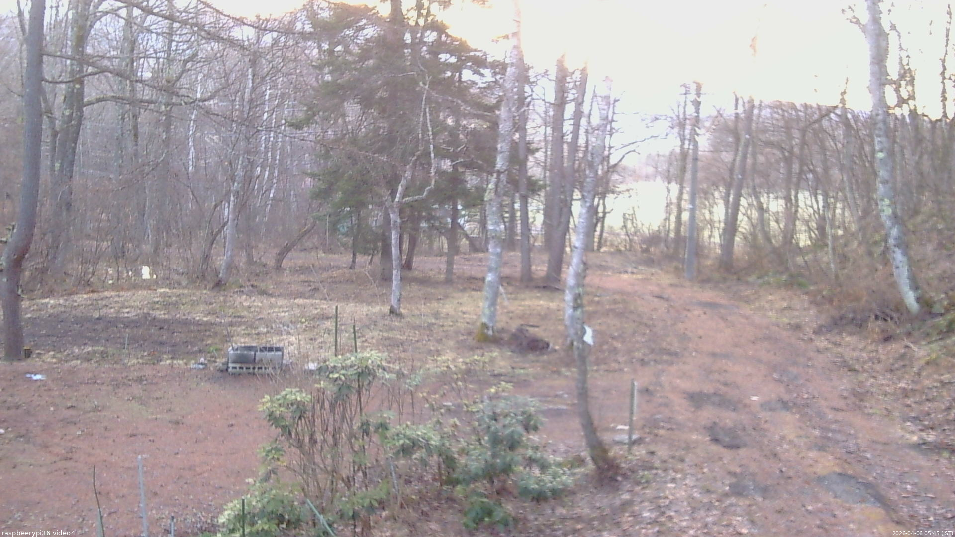 長野県菅平高原 ゆたか山荘 坂上 2026/04/06 05:45