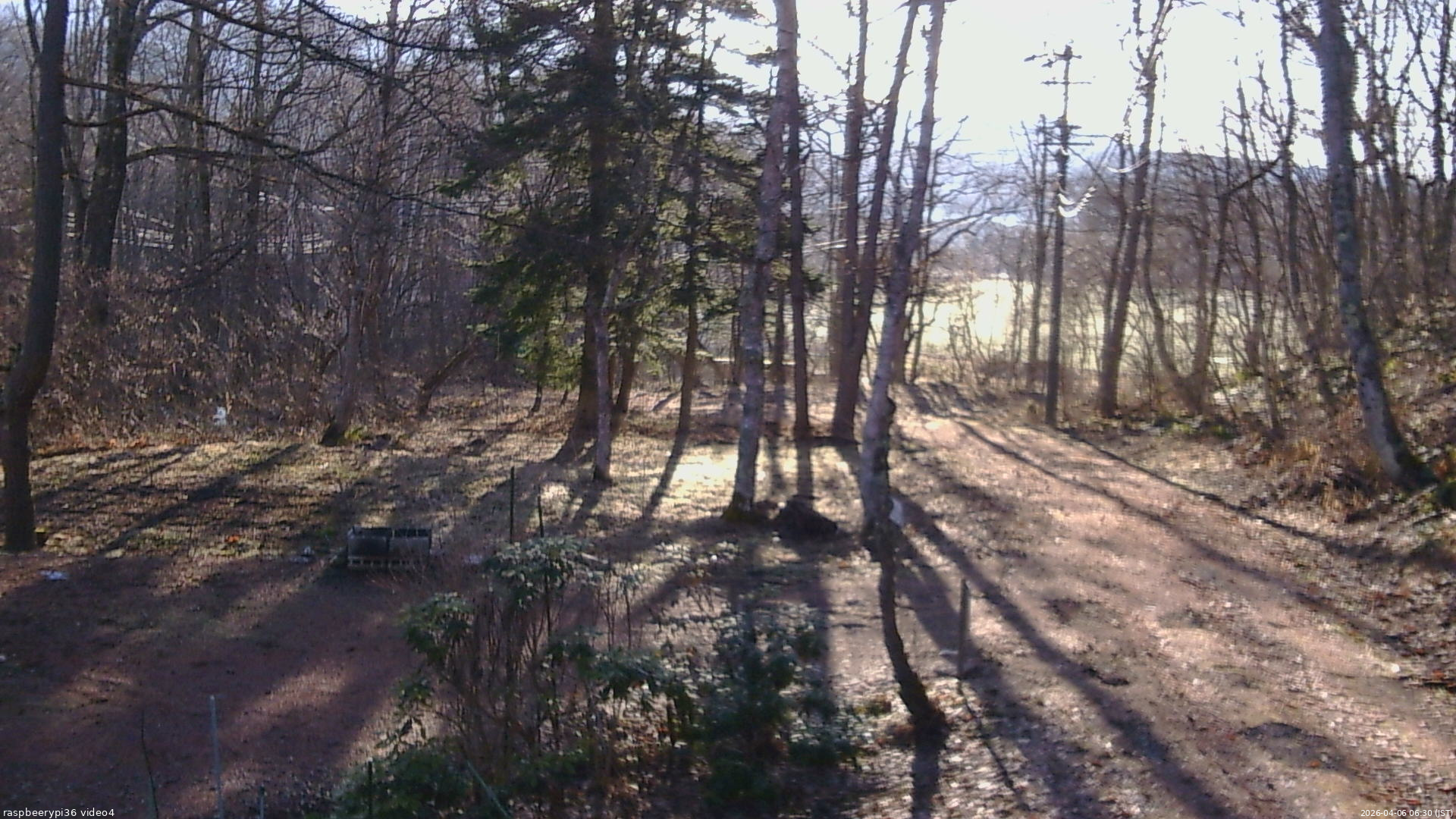 長野県菅平高原 ゆたか山荘 坂上 2026/04/06 06:30
