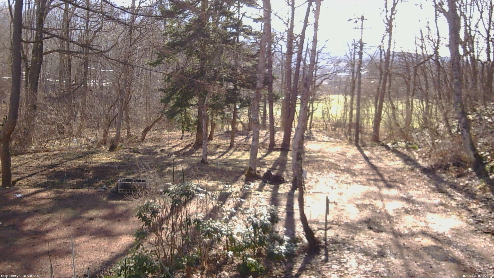 長野県菅平高原 ゆたか山荘 坂上 2026/04/06 07:15