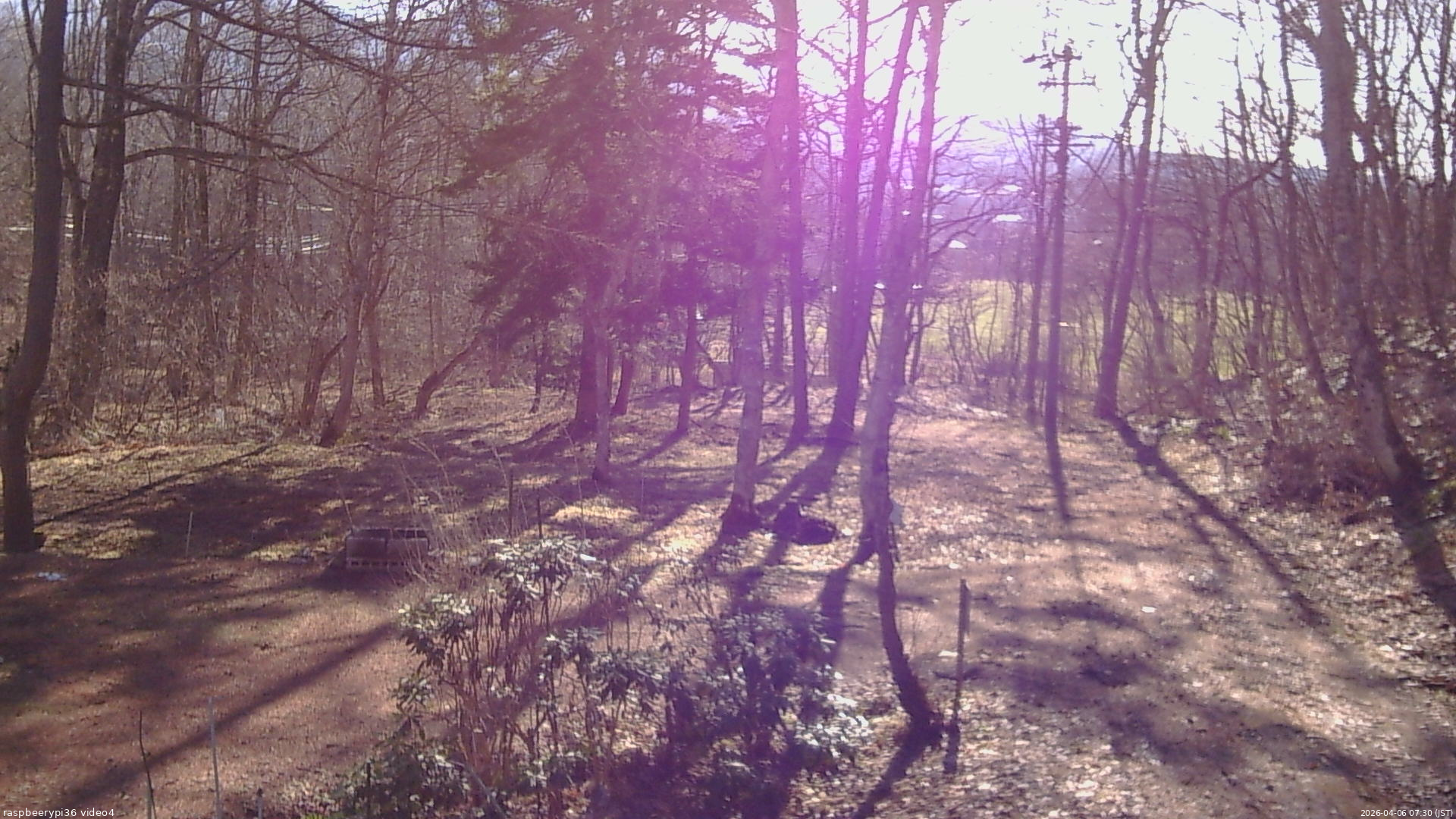 長野県菅平高原 ゆたか山荘 坂上 2026/04/06 07:30