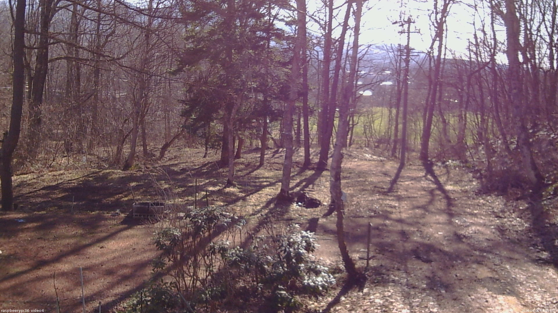 長野県菅平高原 ゆたか山荘 坂上 2026/04/06 07:45