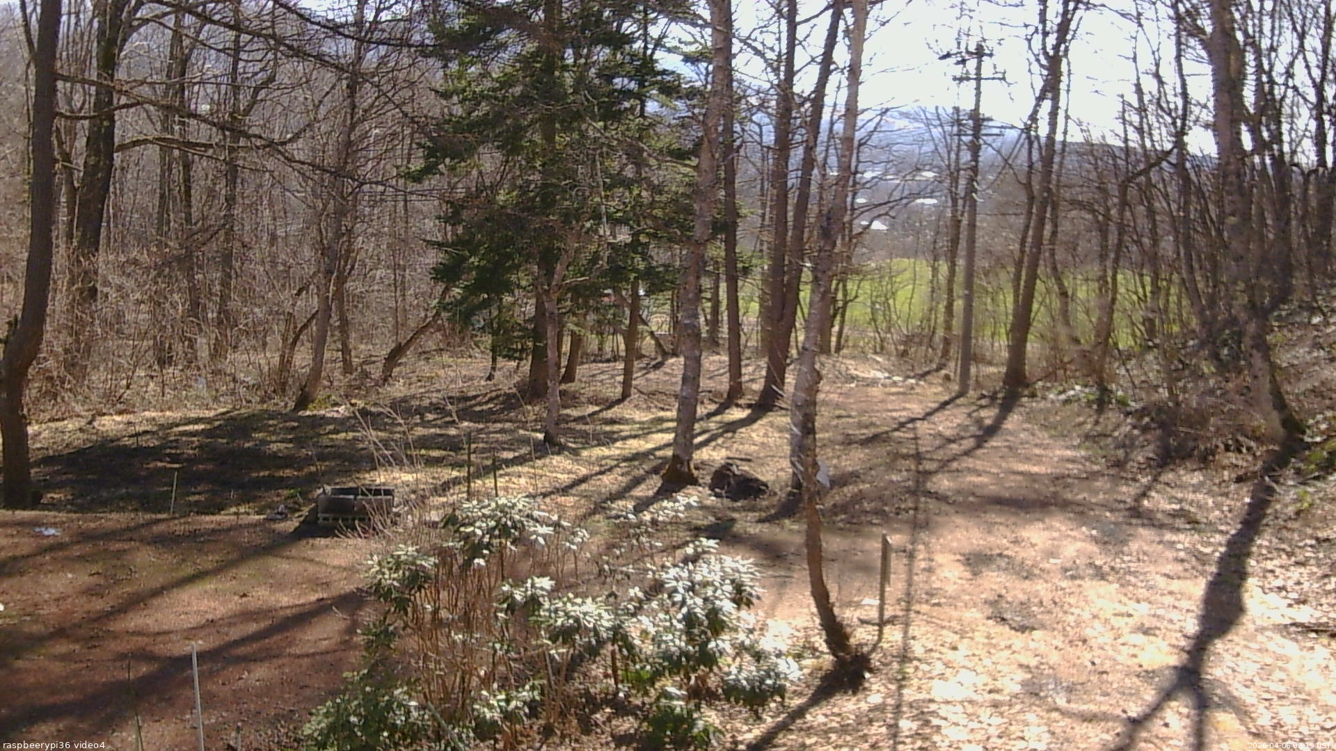 長野県菅平高原 ゆたか山荘 坂上 2026/04/06 08:15