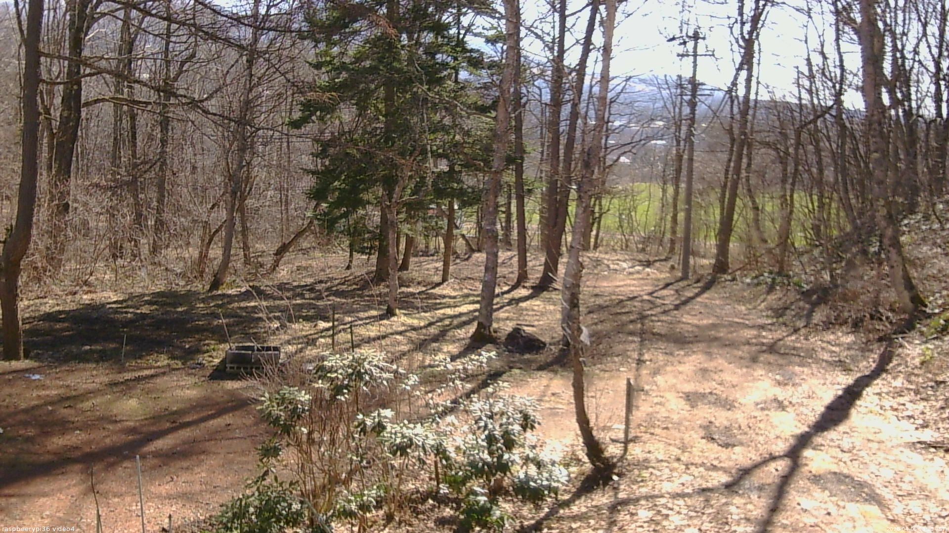 長野県菅平高原 ゆたか山荘 坂上 2026/04/06 08:30