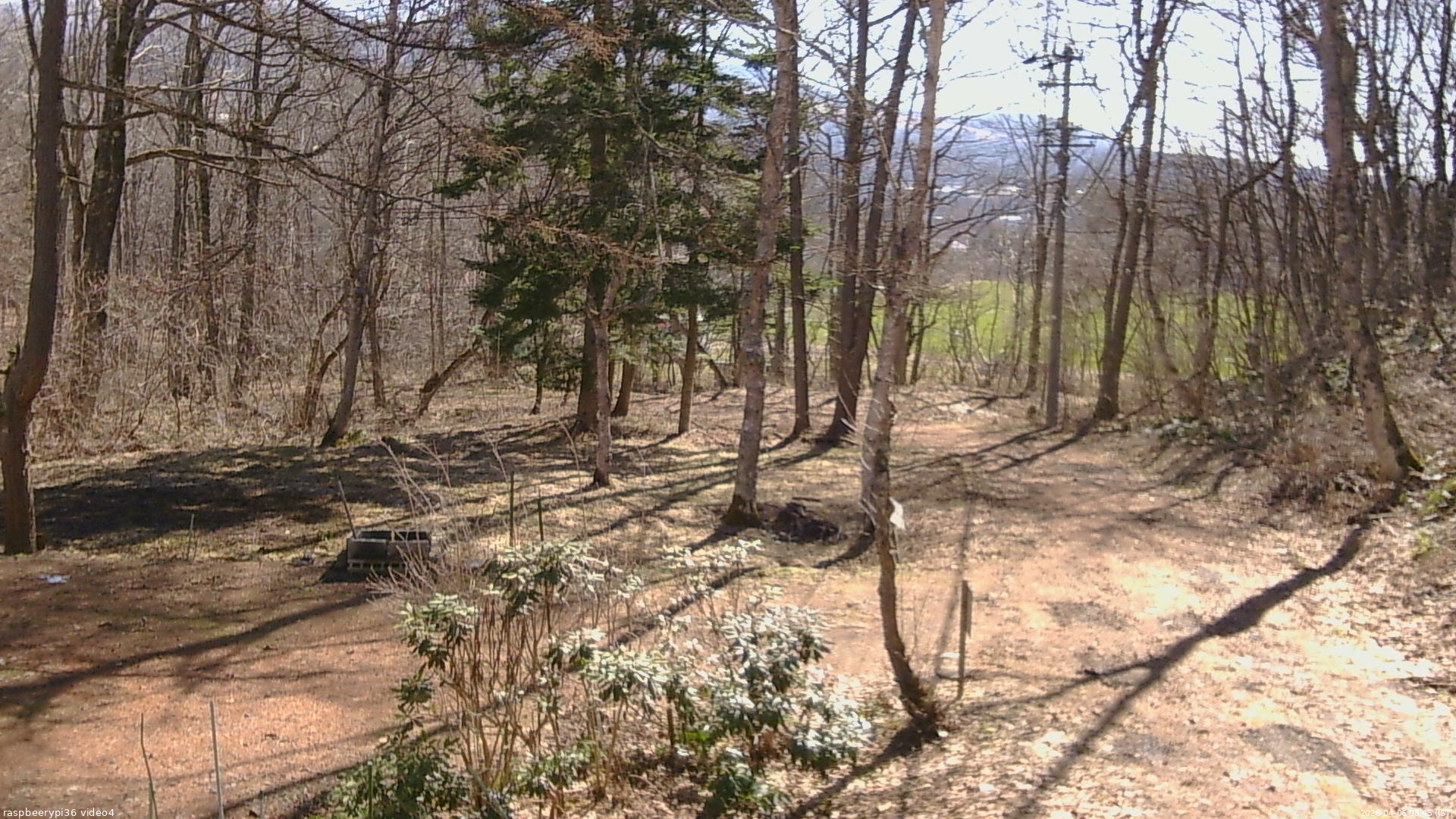 長野県菅平高原 ゆたか山荘 坂上 2026/04/06 08:45