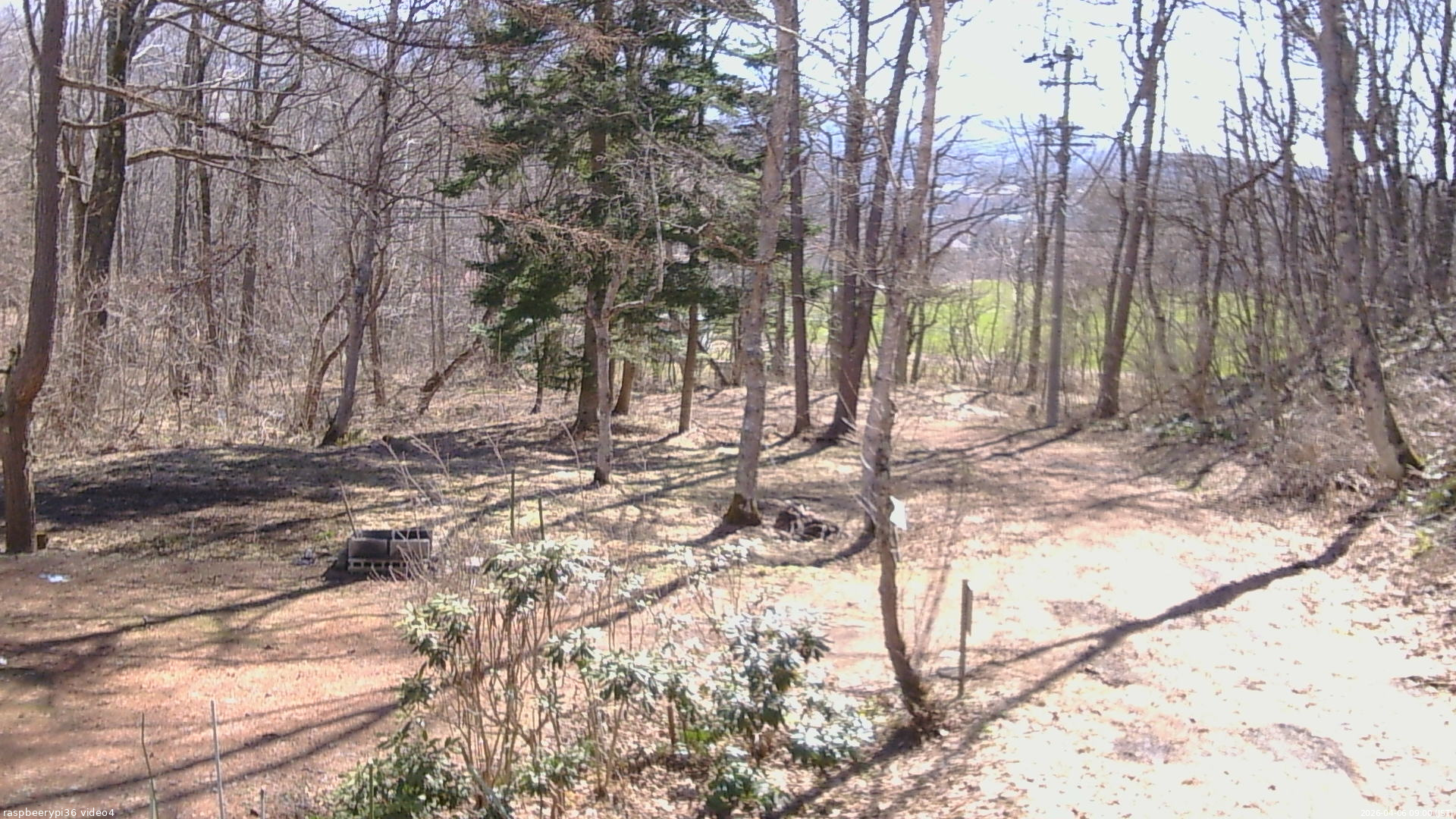 長野県菅平高原 ゆたか山荘 坂上 2026/04/06 09:00