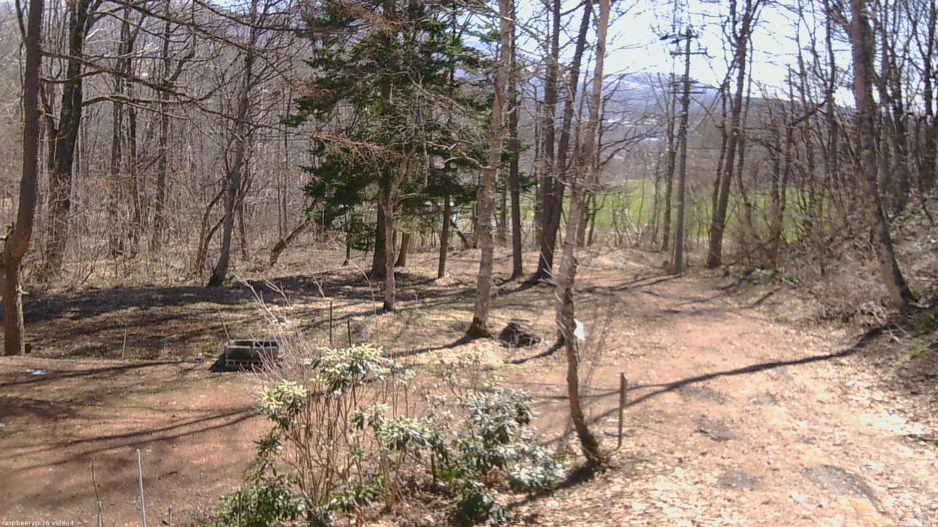 長野県菅平高原 ゆたか山荘 坂上 2026/04/06 09:30