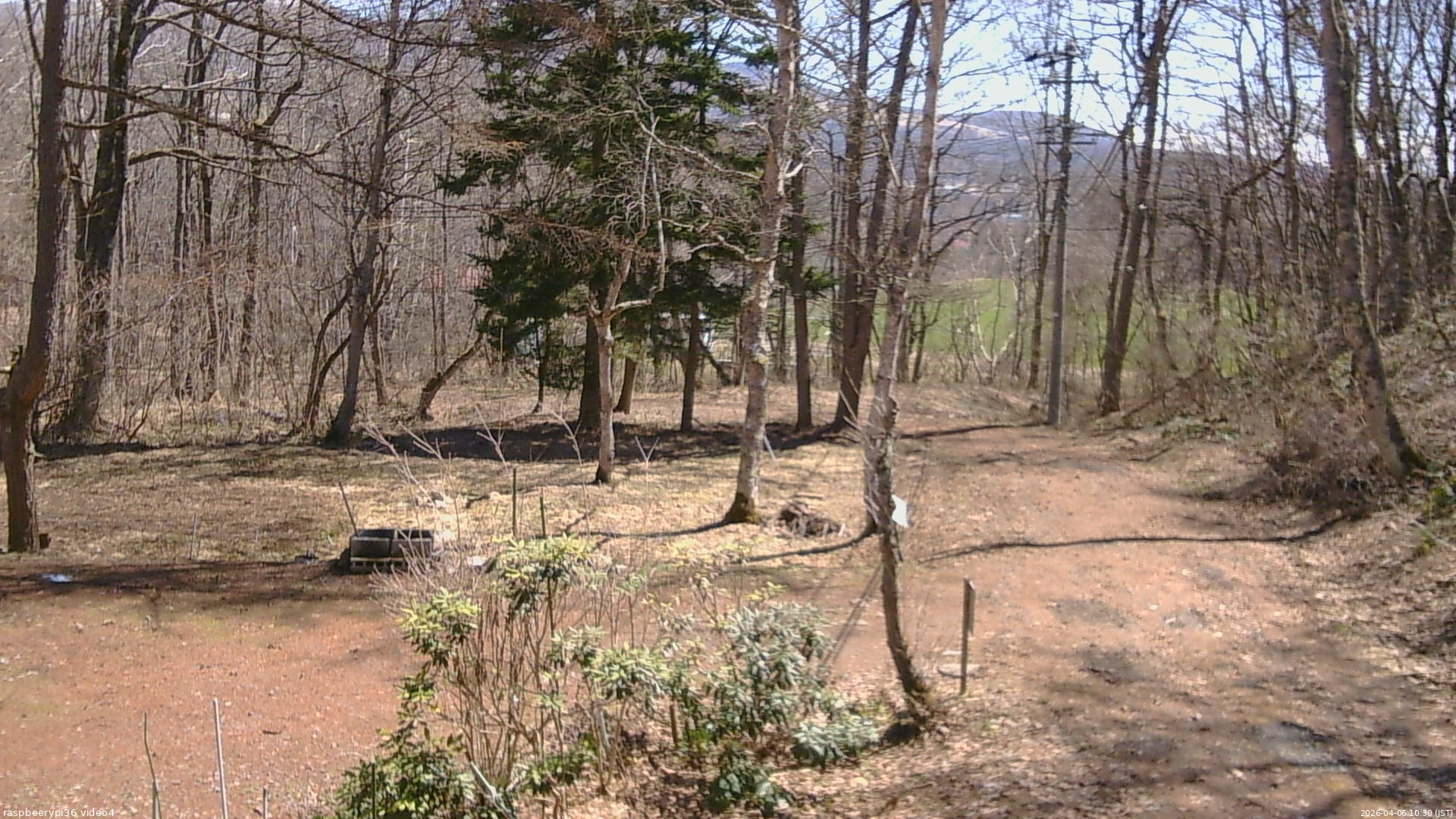 長野県菅平高原 ゆたか山荘 坂上 2026/04/06 10:30