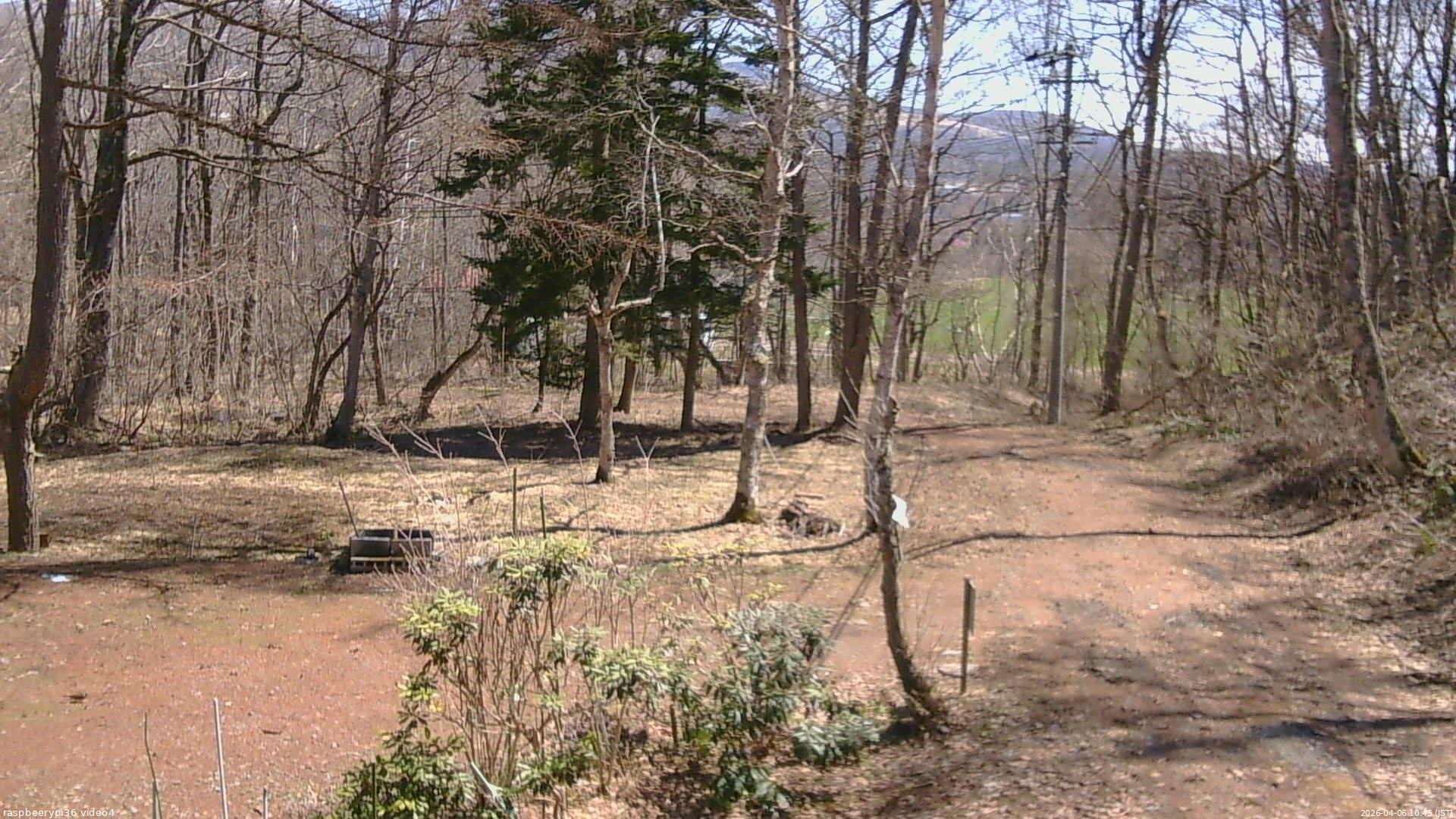 長野県菅平高原 ゆたか山荘 坂上 2026/04/06 10:45