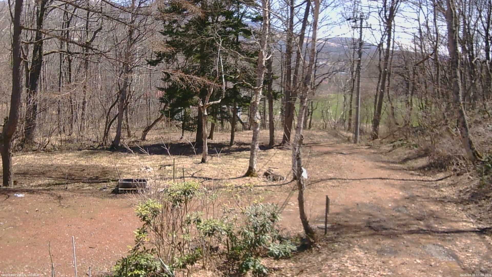 長野県菅平高原 ゆたか山荘 坂上 2026/04/06 11:00