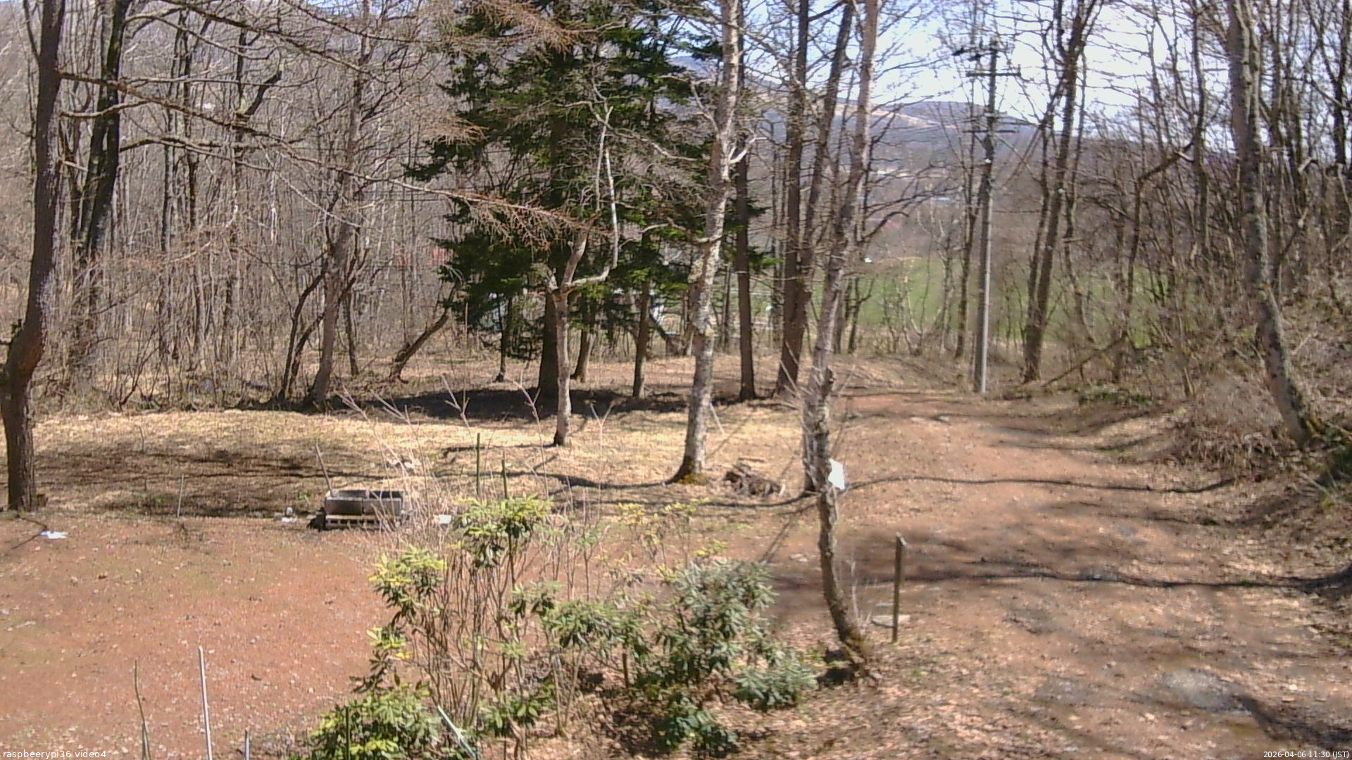 長野県菅平高原 ゆたか山荘 坂上 2026/04/06 11:30