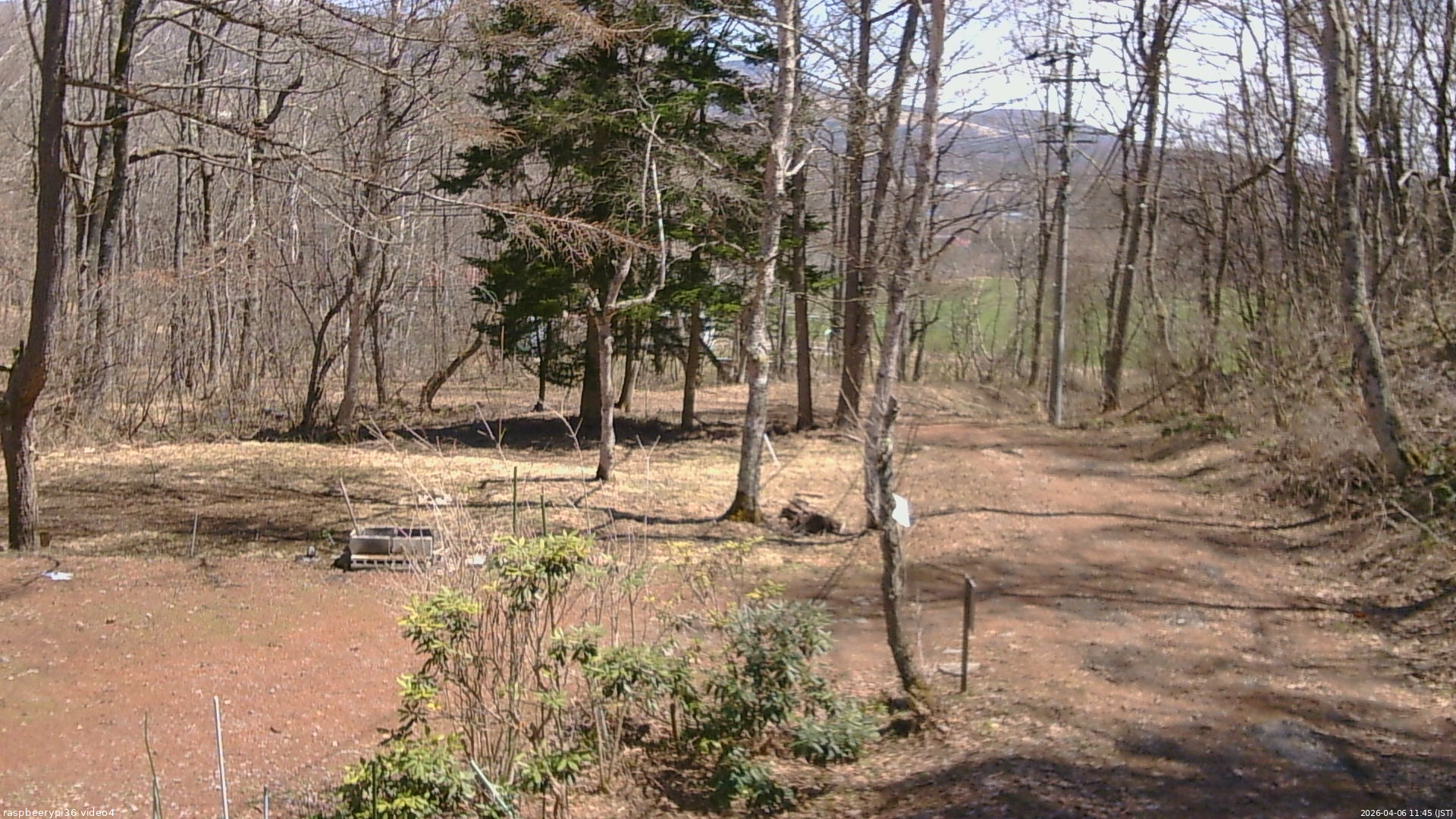 長野県菅平高原 ゆたか山荘 坂上 2026/04/06 11:45