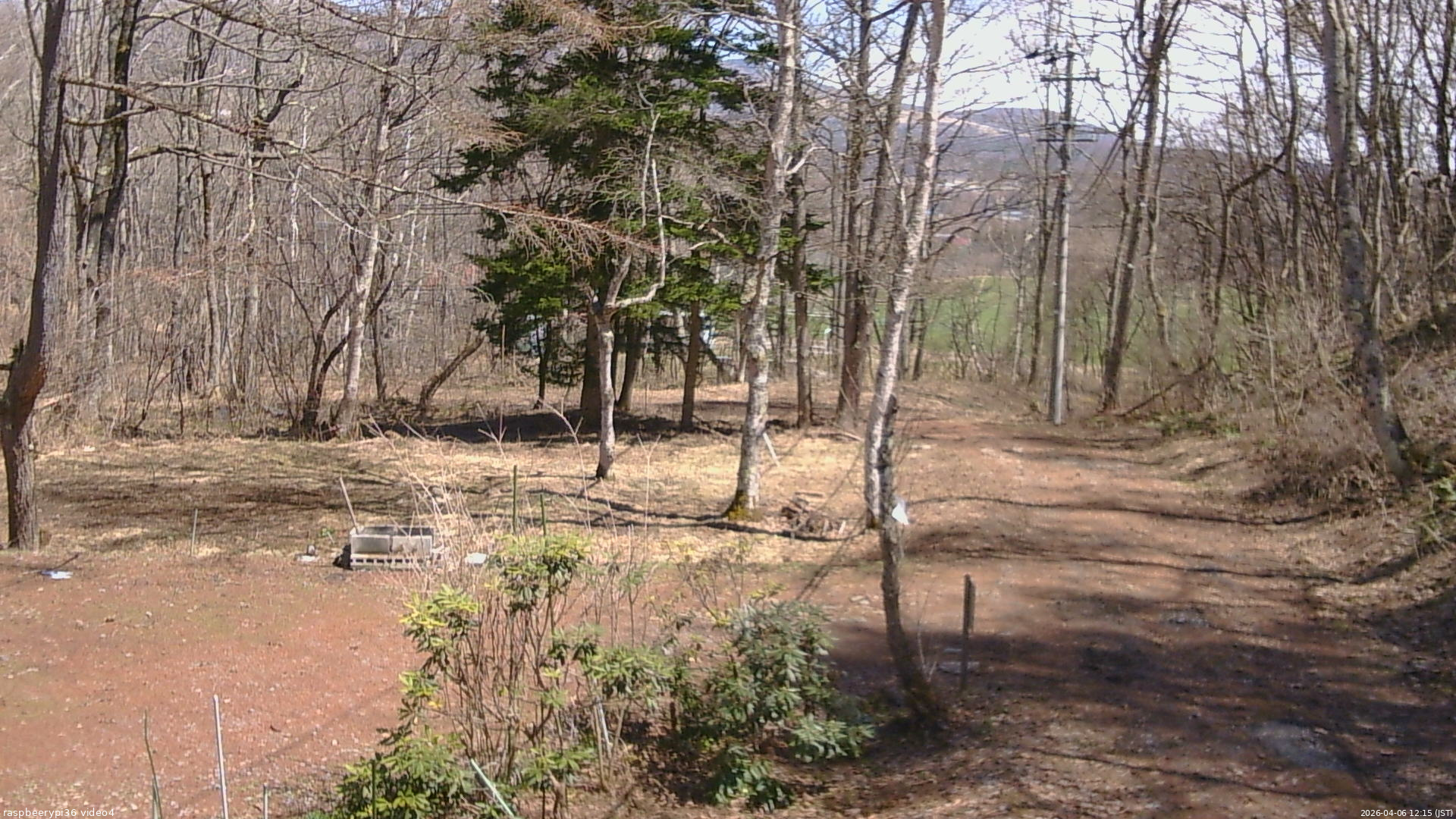 長野県菅平高原 ゆたか山荘 坂上 2026/04/06 12:15