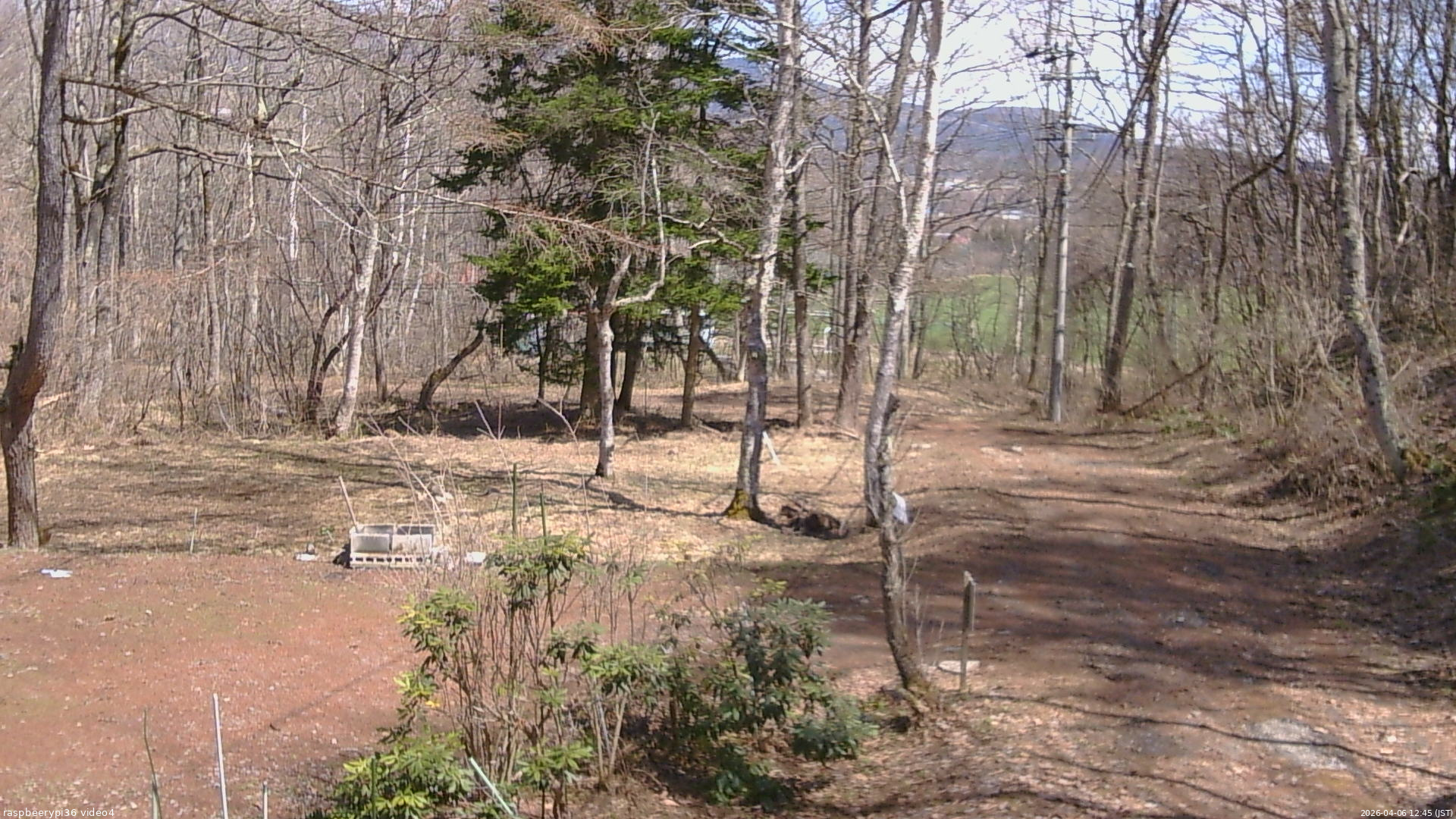 長野県菅平高原 ゆたか山荘 坂上 2026/04/06 12:45