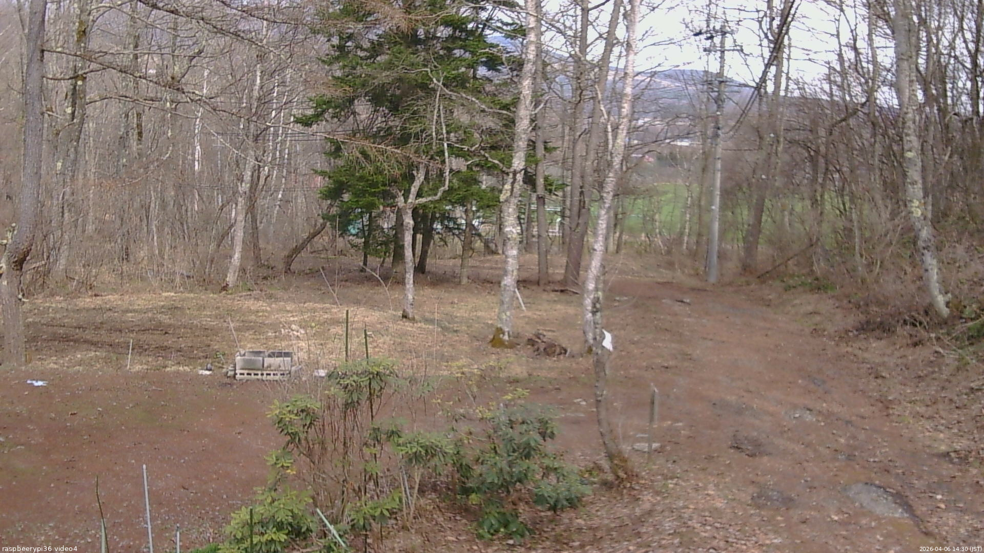 長野県菅平高原 ゆたか山荘 坂上 2026/04/06 14:30
