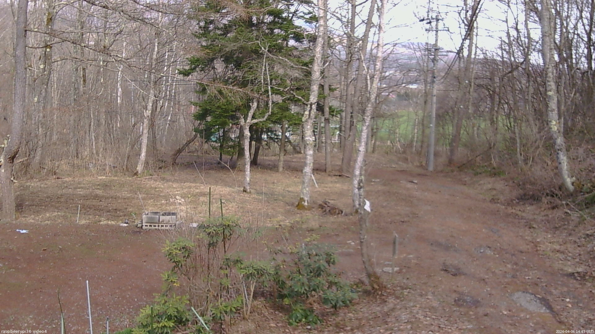 長野県菅平高原 ゆたか山荘 坂上 2026/04/06 14:45