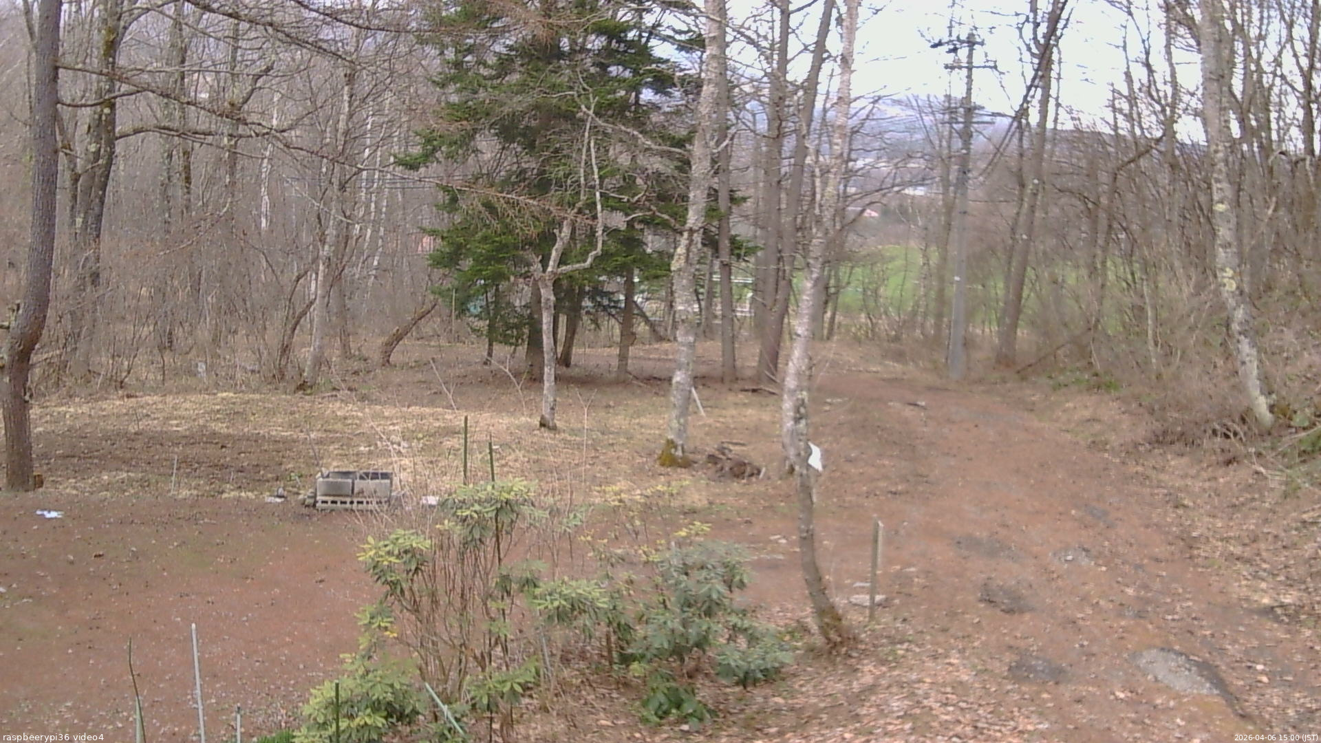 長野県菅平高原 ゆたか山荘 坂上 2026/04/06 15:00